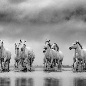 Fotografía, Ba Jun Tu, Lars Beusker