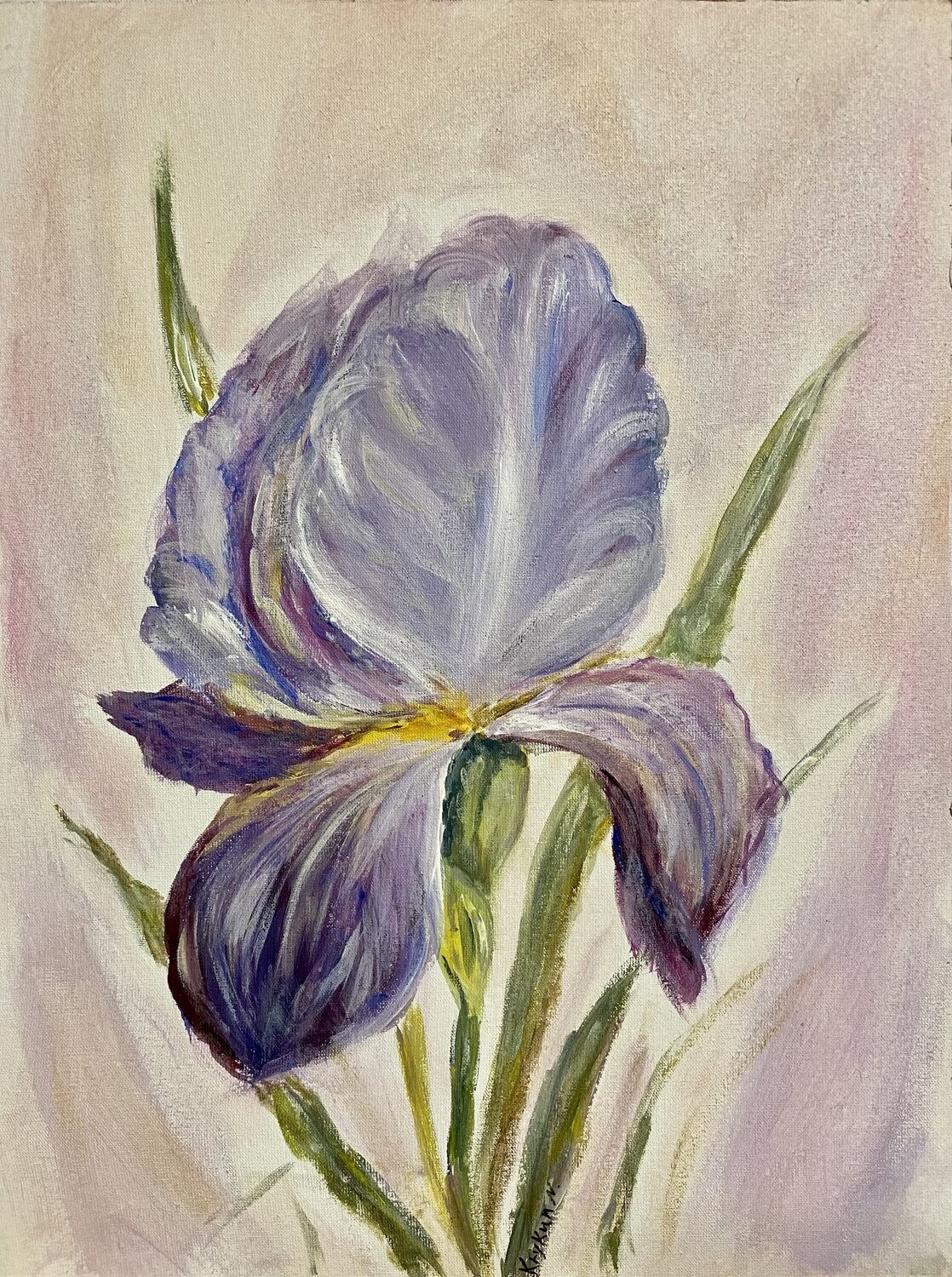 Nataliia Krykun, Iris flowers, Ritter-Schwertlilie Nataliia Krykun, Iris flowers, Ritter-Schwertlilie