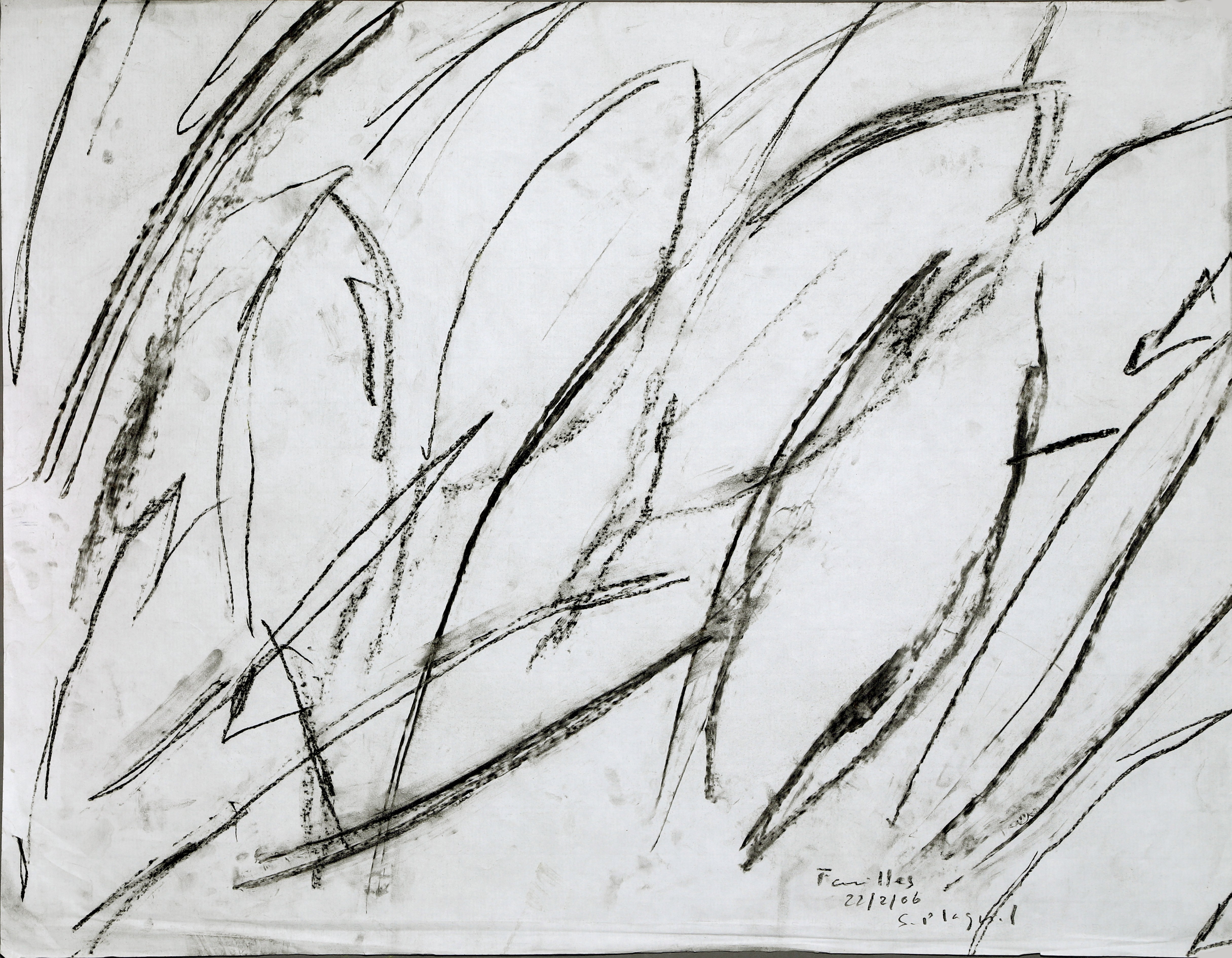 Serge Plagnol, Feuilles Serge Plagnol, Feuilles