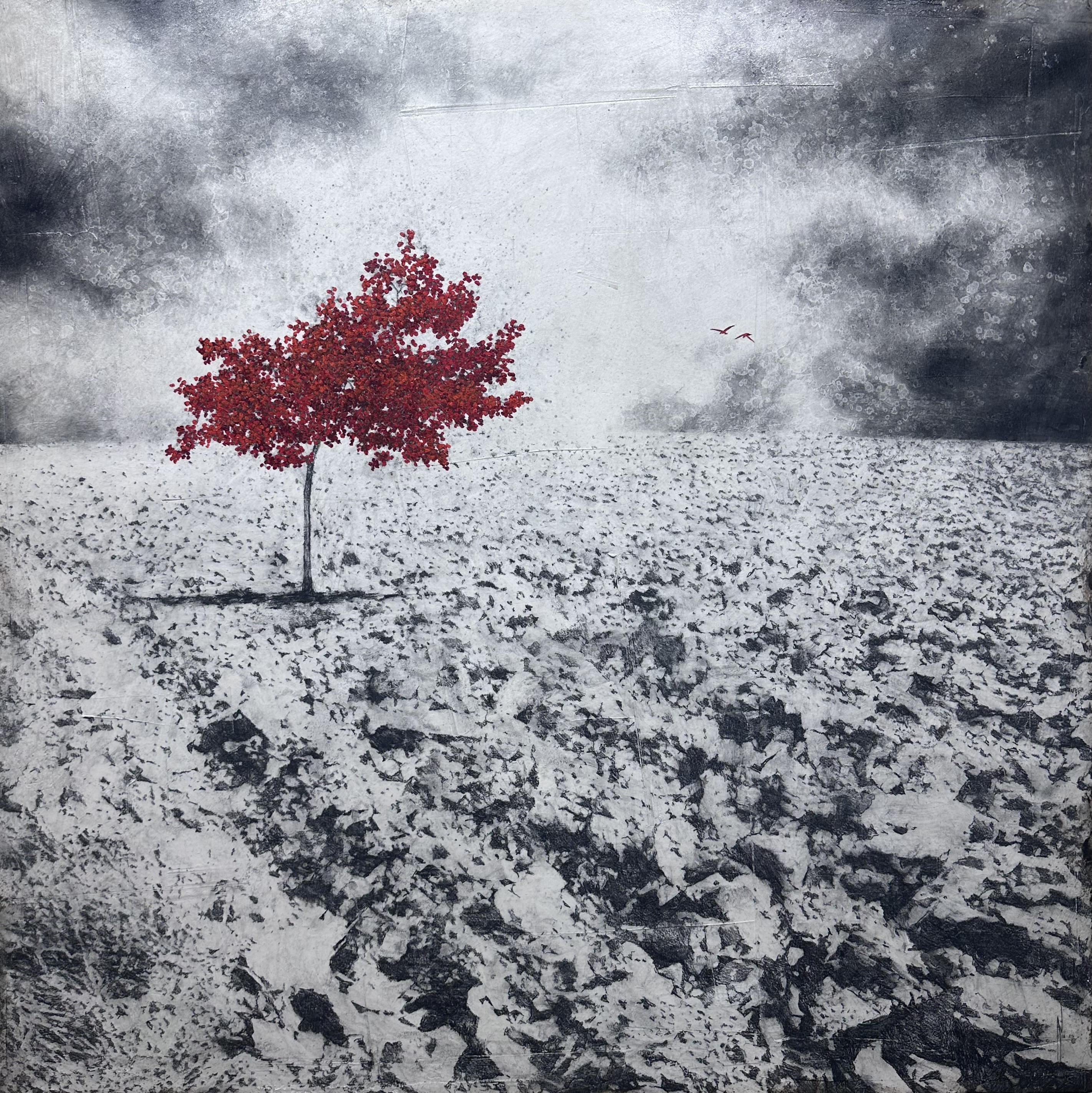 Antoine Josse, Dans un monde en noir et blanc Antoine Josse, Dans un monde en noir et blanc
