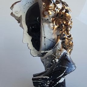 David skull Michel-angelo, Spaco