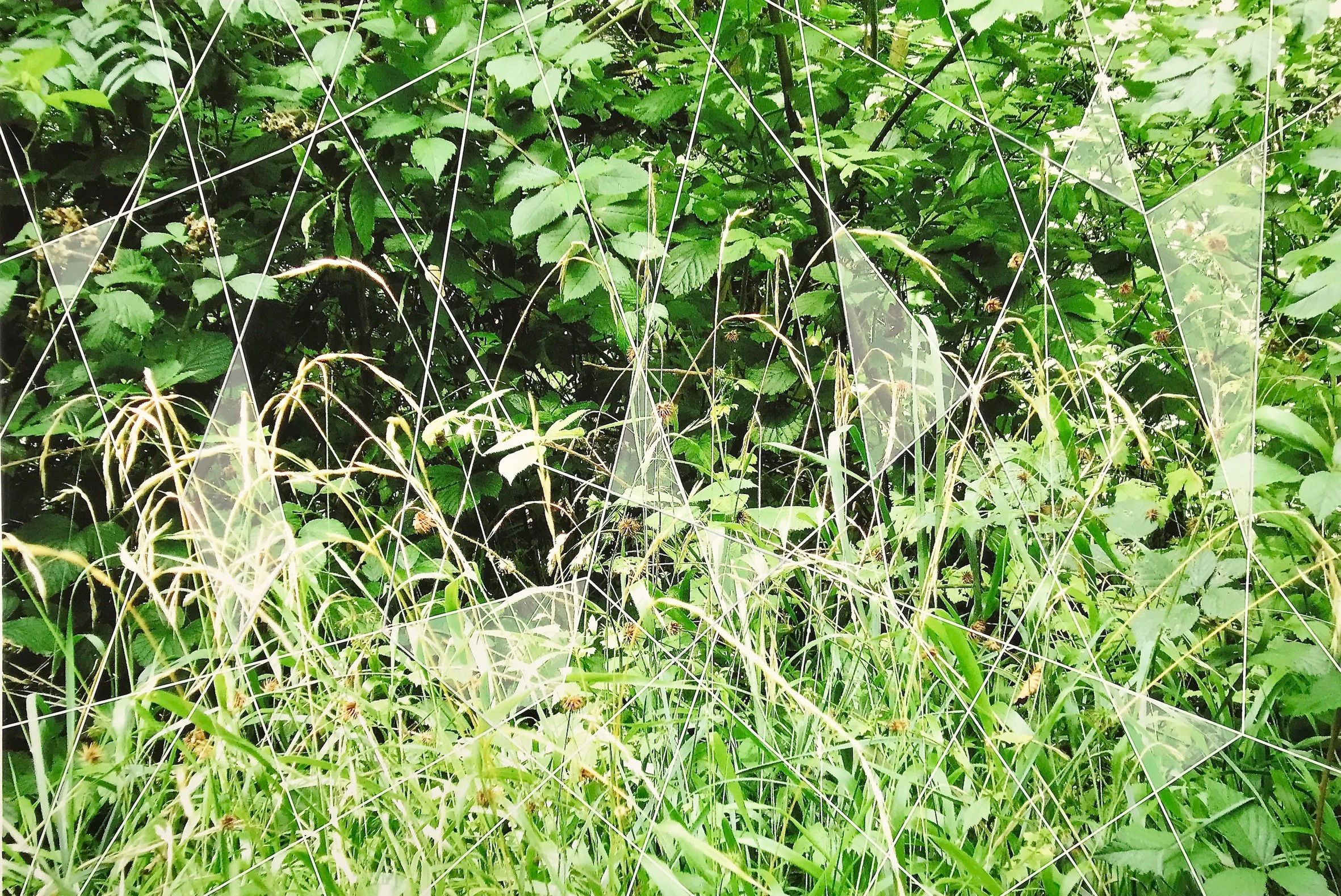 Akané Kirimura, Verdure et Lumière Cristalline III Akané Kirimura, Verdure et Lumière Cristalline III