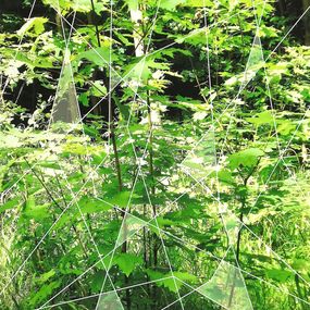 Drucke, Verdure et Lumière Cristalline III, Akané Kirimura