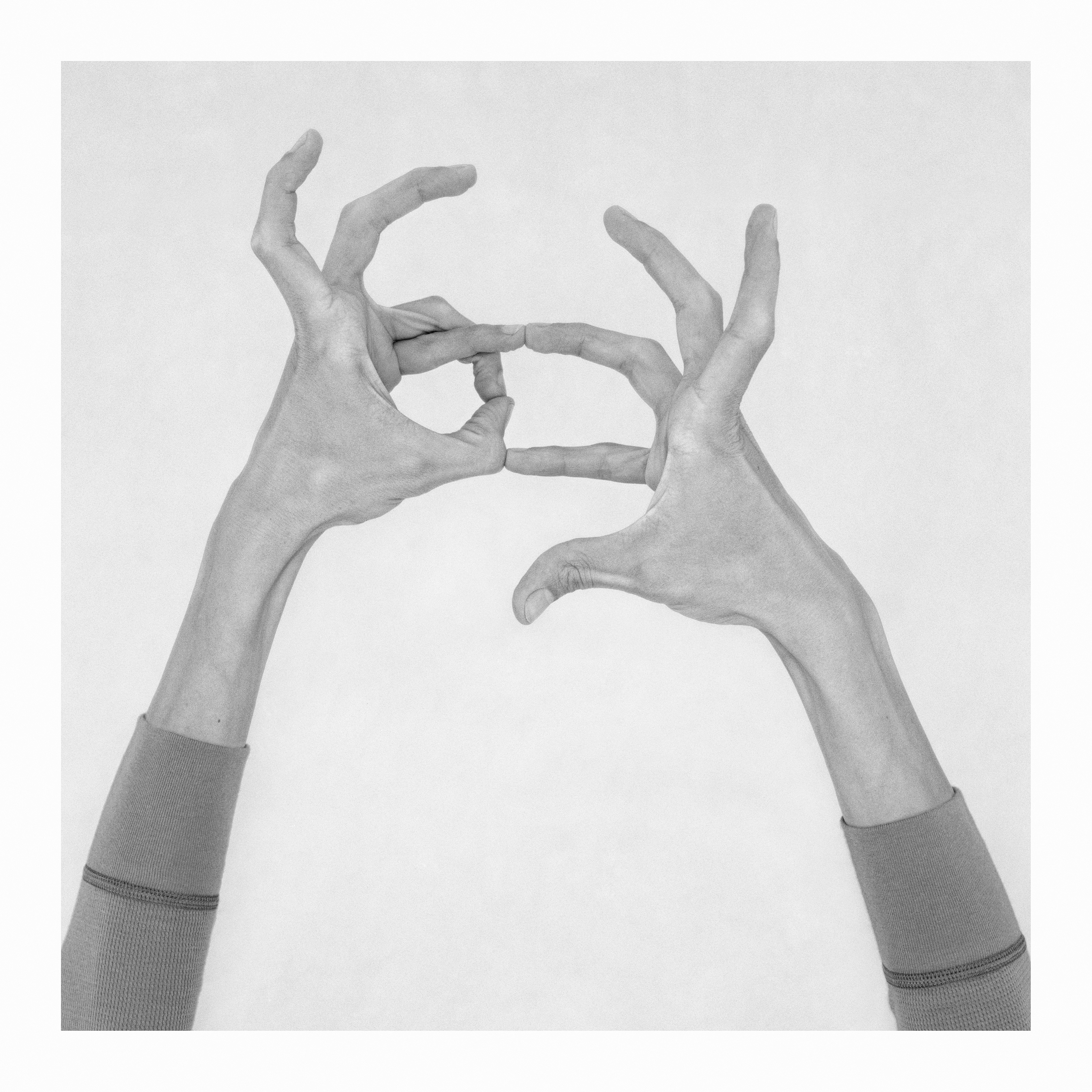 Nico Baixas / Gos-com-fuig, Untitled XI. From the series Chiromorphose Nico Baixas / Gos-com-fuig, Untitled XI. From the series Chiromorphose