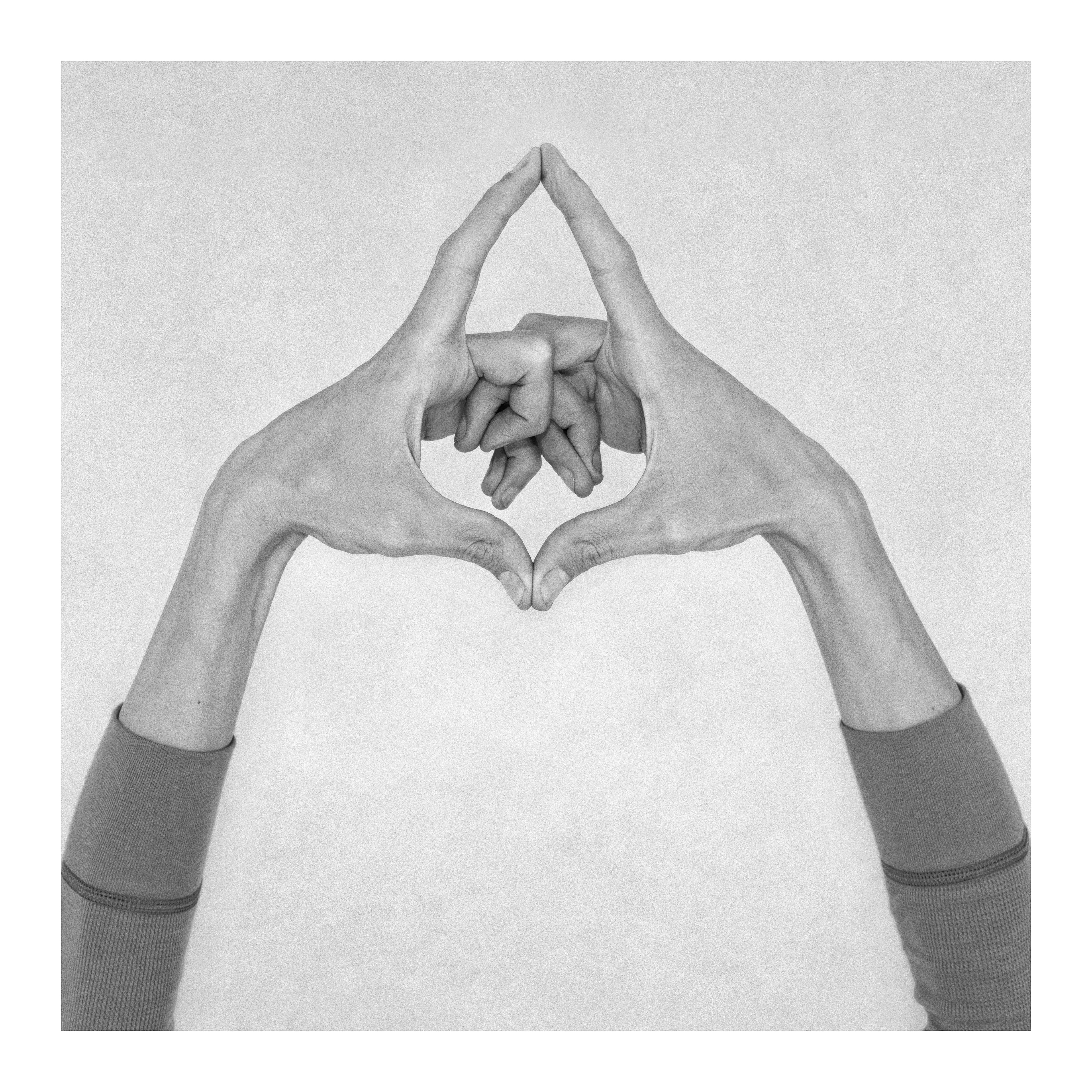 Nico Baixas / Gos-com-fuig, Untitled XIV. From the series Chiromorphose Nico Baixas / Gos-com-fuig, Untitled XIV. From the series Chiromorphose