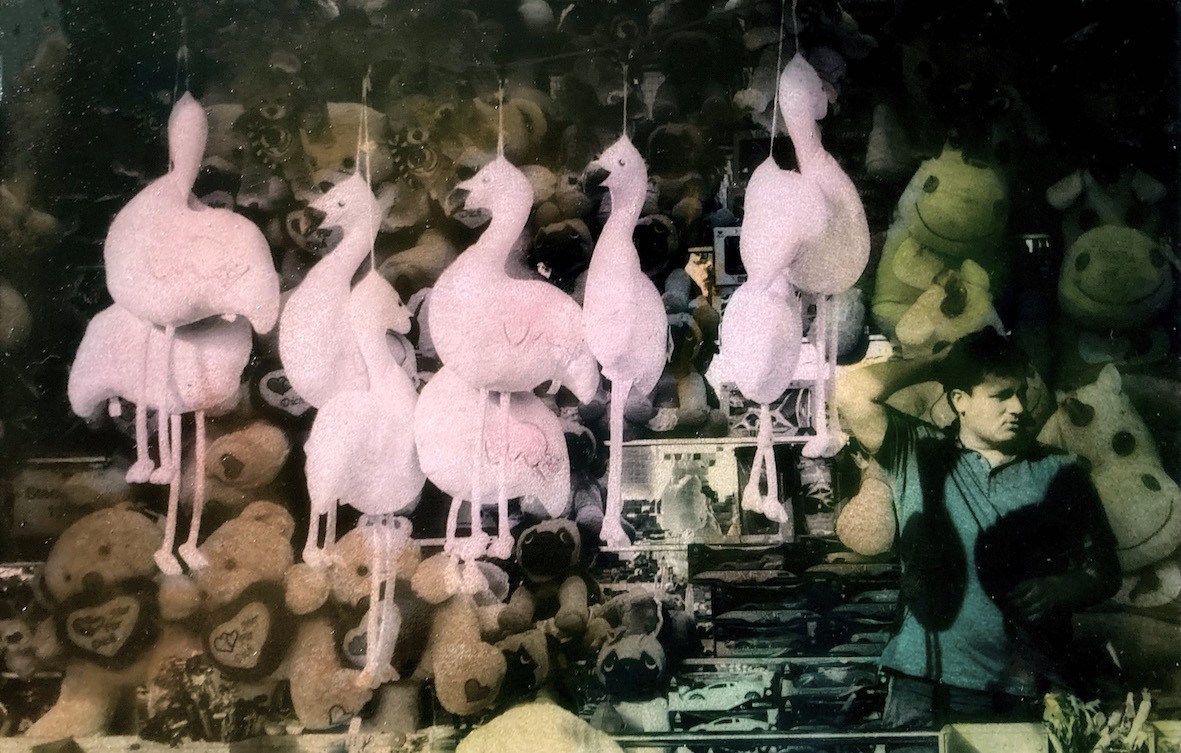 Irène Jonas, Flamants Roses Irène Jonas, Flamants Roses