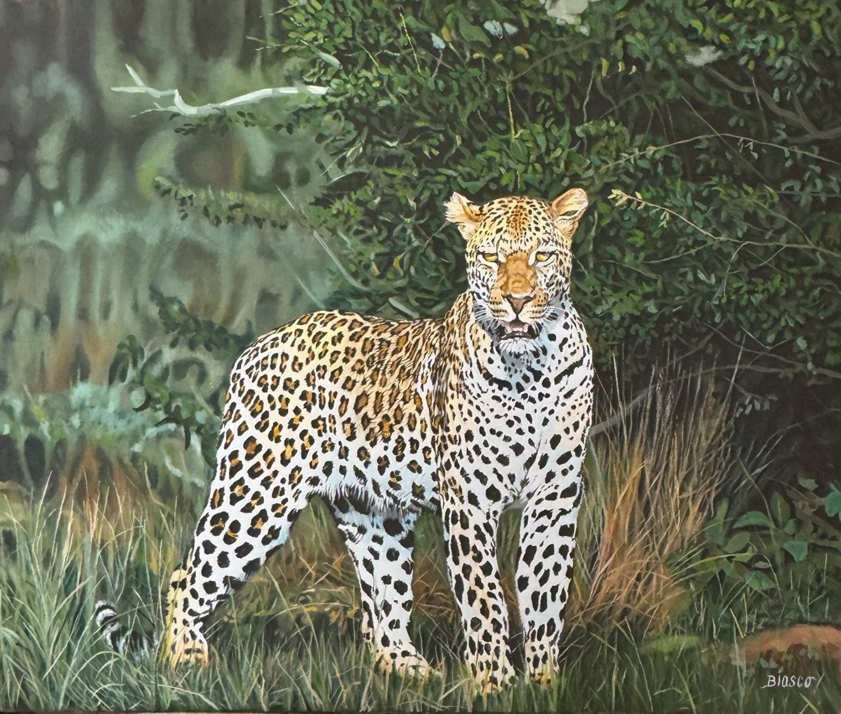 Pierre-Yves Blasco, Lord of the jungle Pierre-Yves Blasco, Lord of the jungle