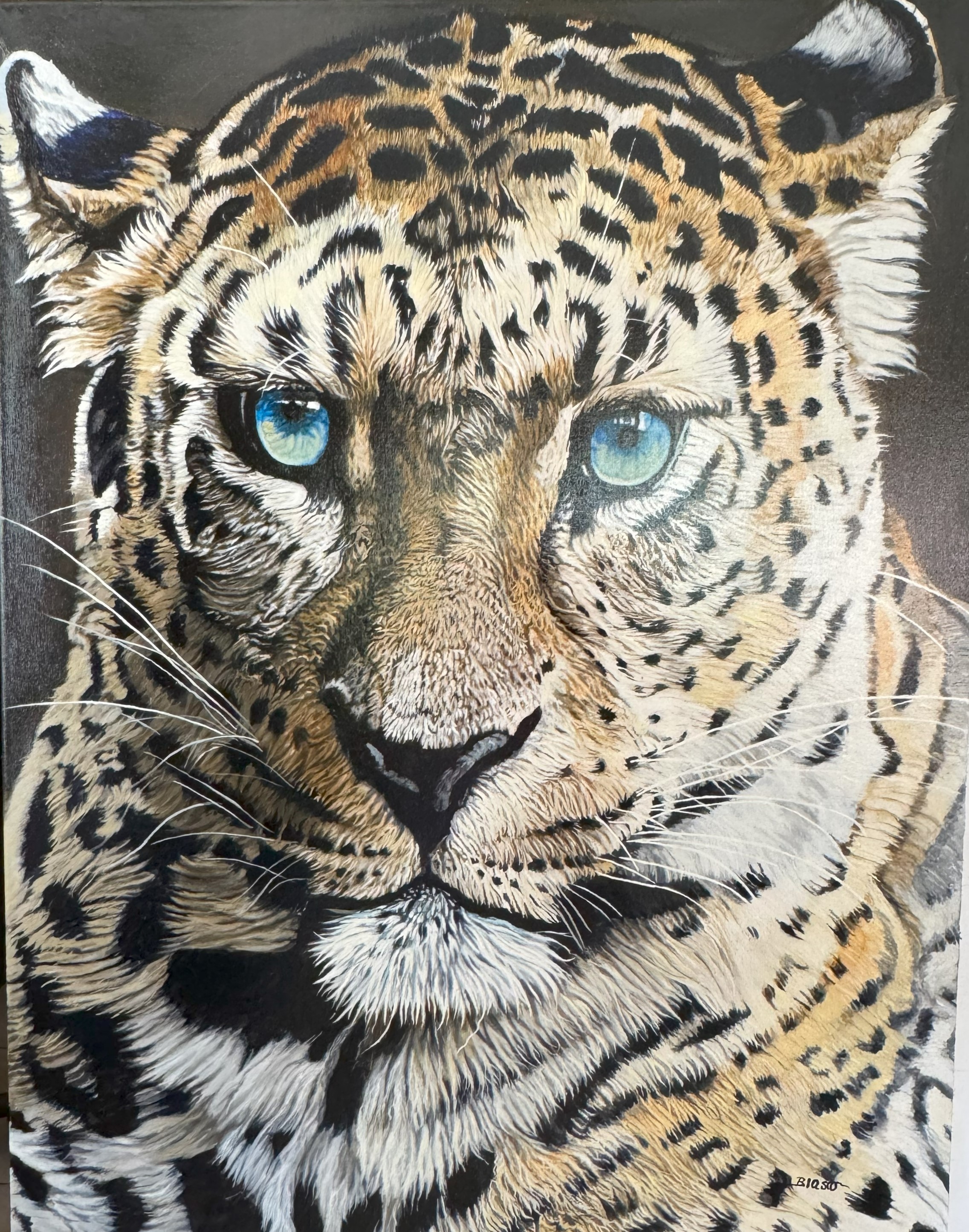 Pierre-Yves Blasco, Portrait of leopard Pierre-Yves Blasco, Portrait of leopard