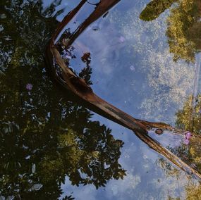 Photographie, Reflections, Jess Hon