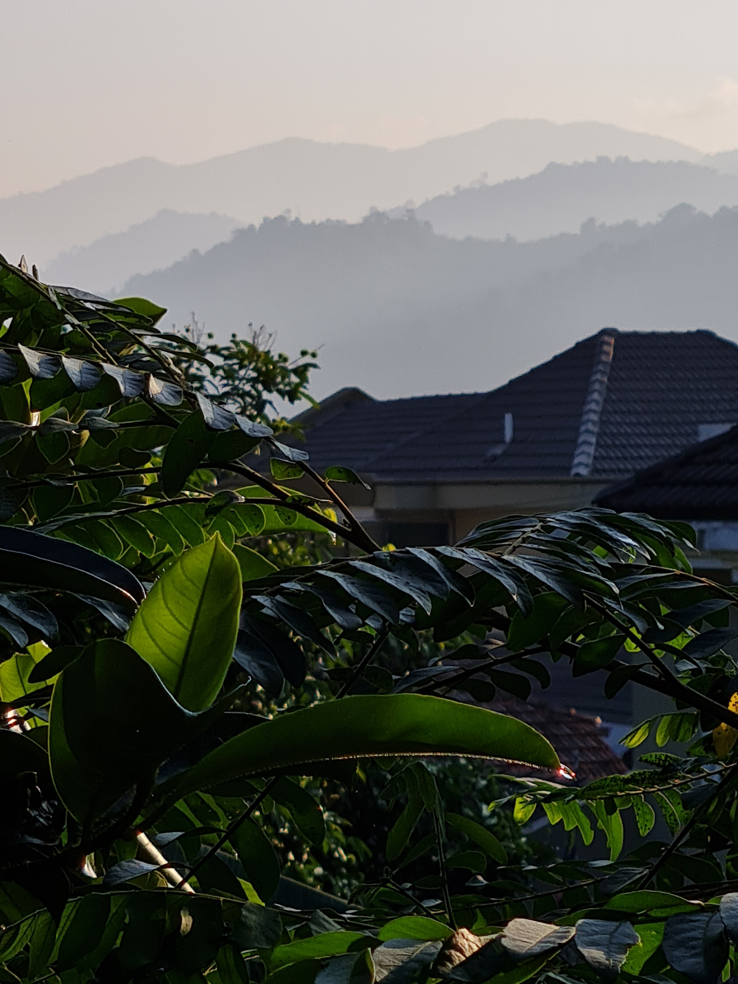Jess Hon, Early Morning View of the Mountains Jess Hon, Early Morning View of the Mountains