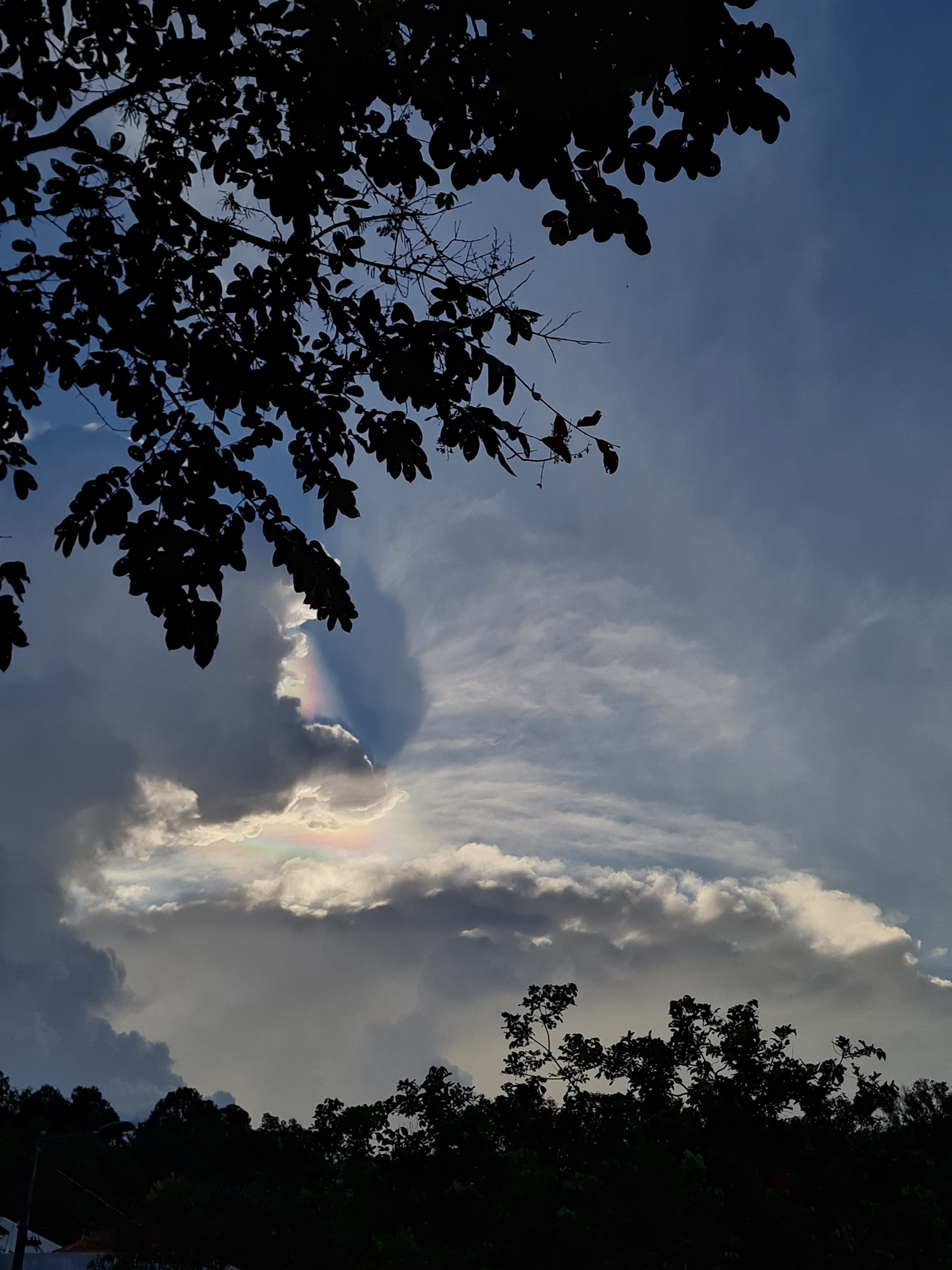 Jess Hon, Rainbows in the Clouds Jess Hon, Rainbows in the Clouds
