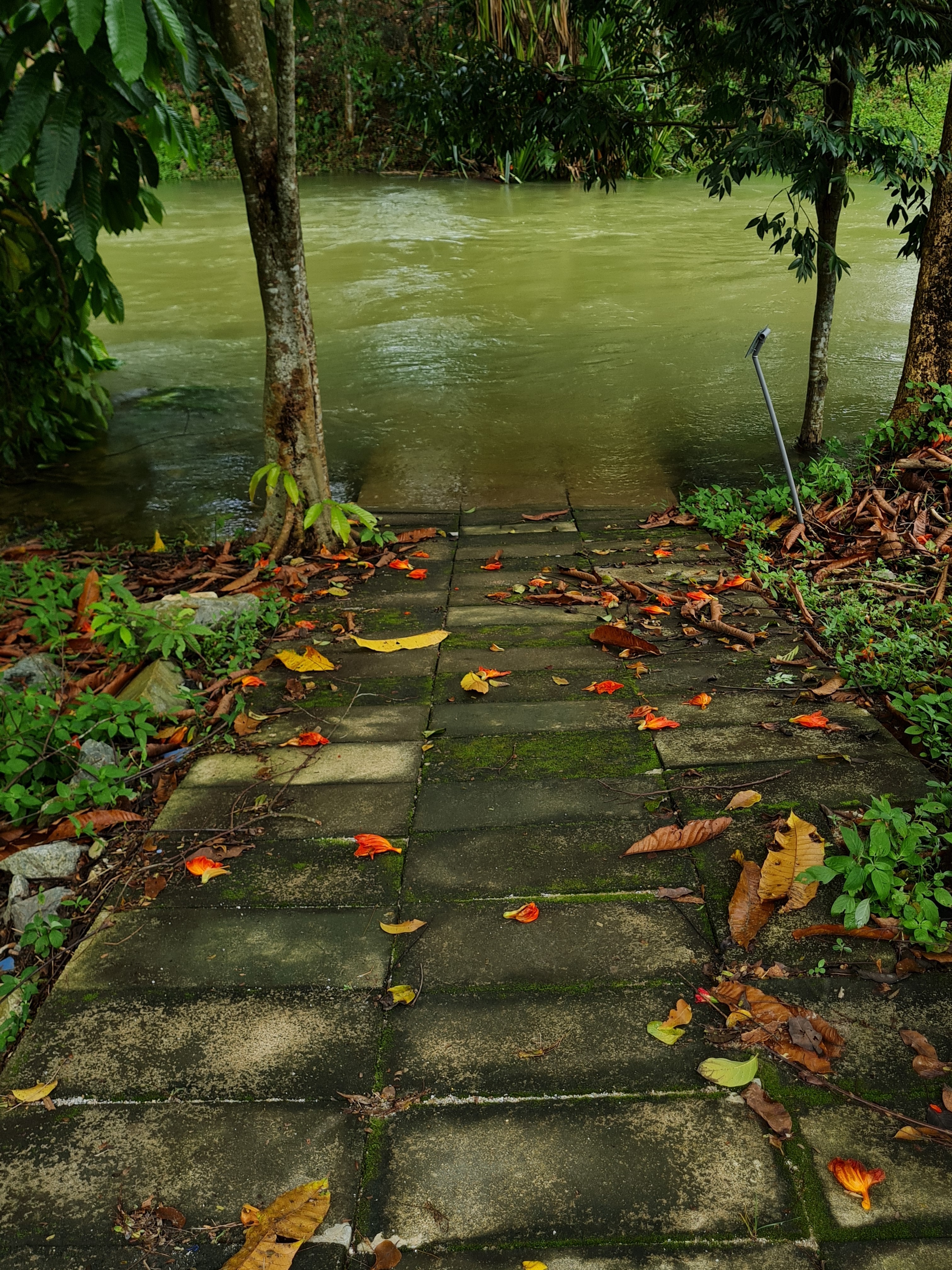 Jess Hon, Colorful Walkway to the Stream Jess Hon, Colorful Walkway to the Stream