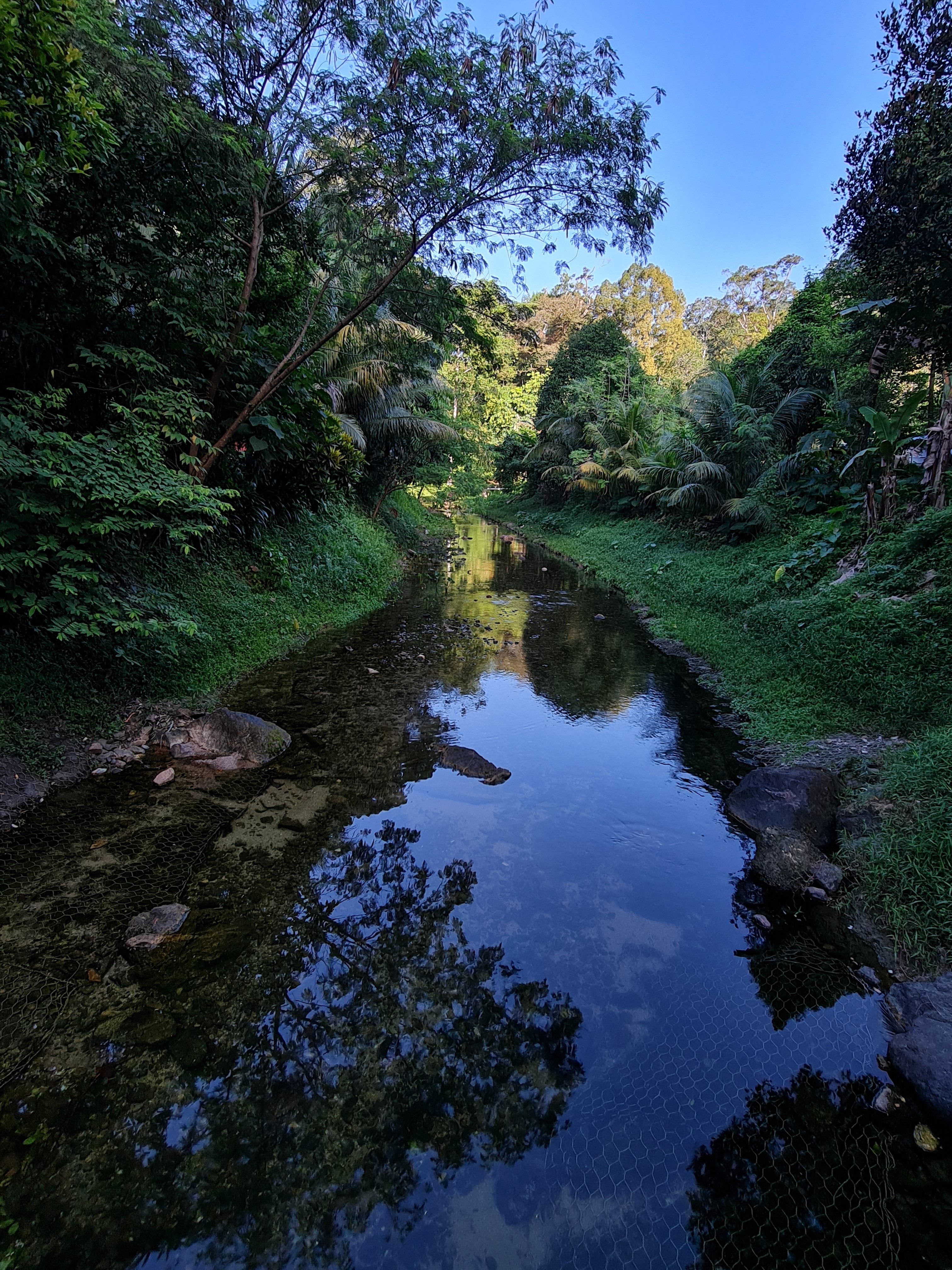 Jess Hon, Scenic View of a Beautiful Stream Jess Hon, Scenic View of a Beautiful Stream