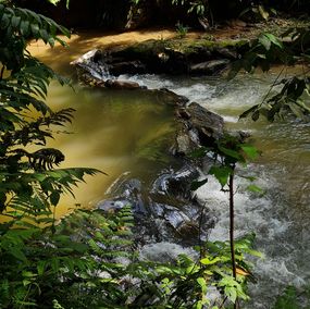 Photographie, Beautiful Stream at the Edge of the Jungle, Jess Hon