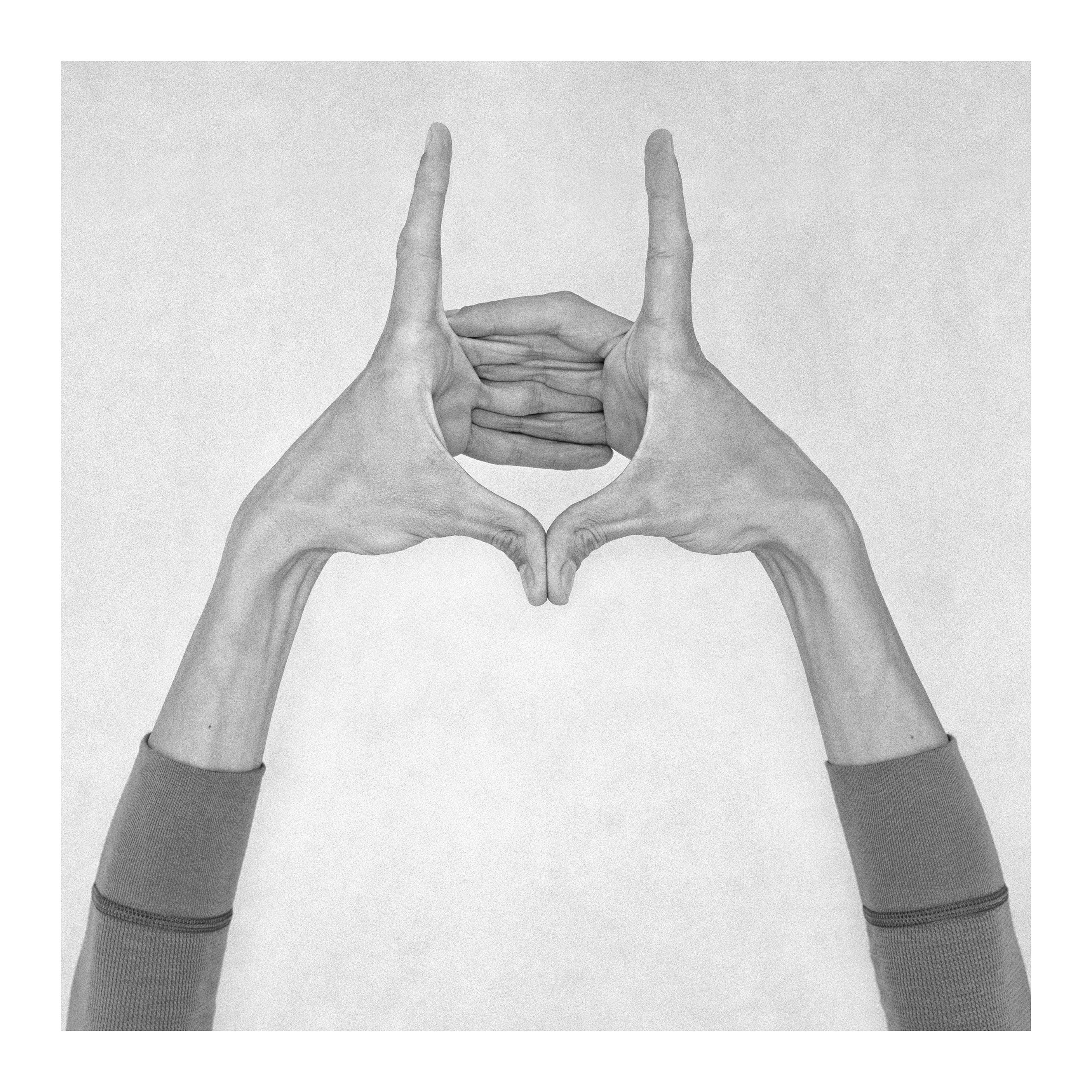 Nico Baixas / Gos-com-fuig, Untitled XV. From the Series Chiromorphose Nico Baixas / Gos-com-fuig, Untitled XV. From the Series Chiromorphose