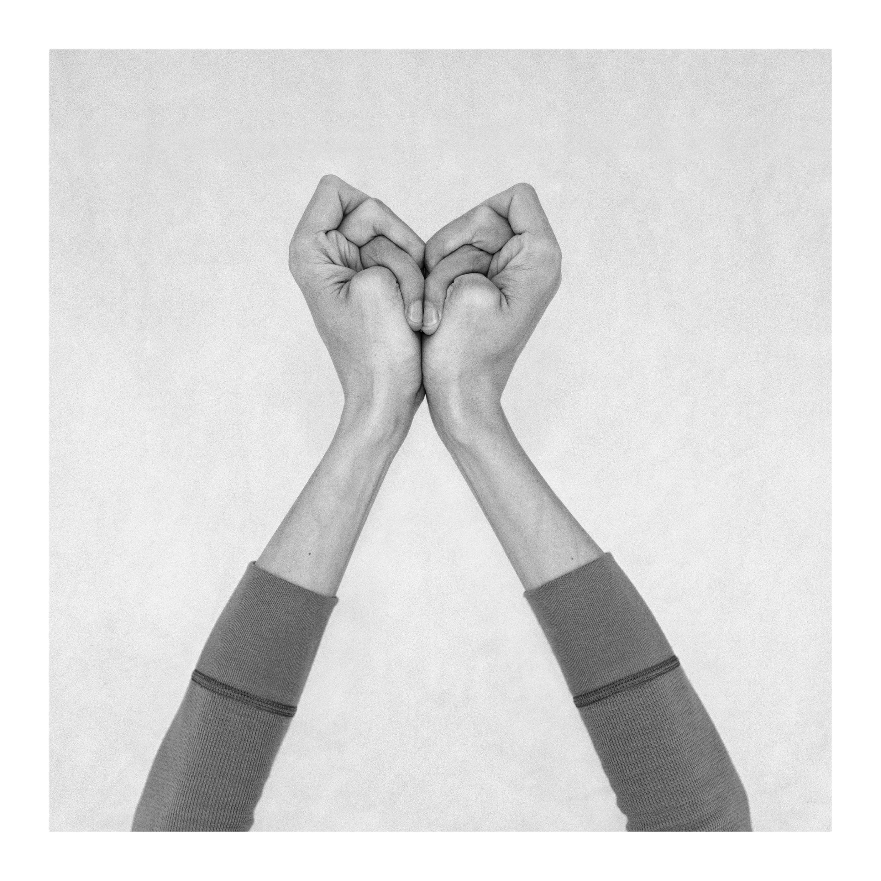 Nico Baixas / Gos-com-fuig, Untitled XVII. From the Series Chiromorphose Nico Baixas / Gos-com-fuig, Untitled XVII. From the Series Chiromorphose