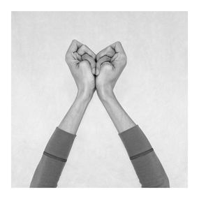 Fotografien, Untitled XVII. From the Series Chiromorphose, Nico Baixas / Gos-com-fuig
