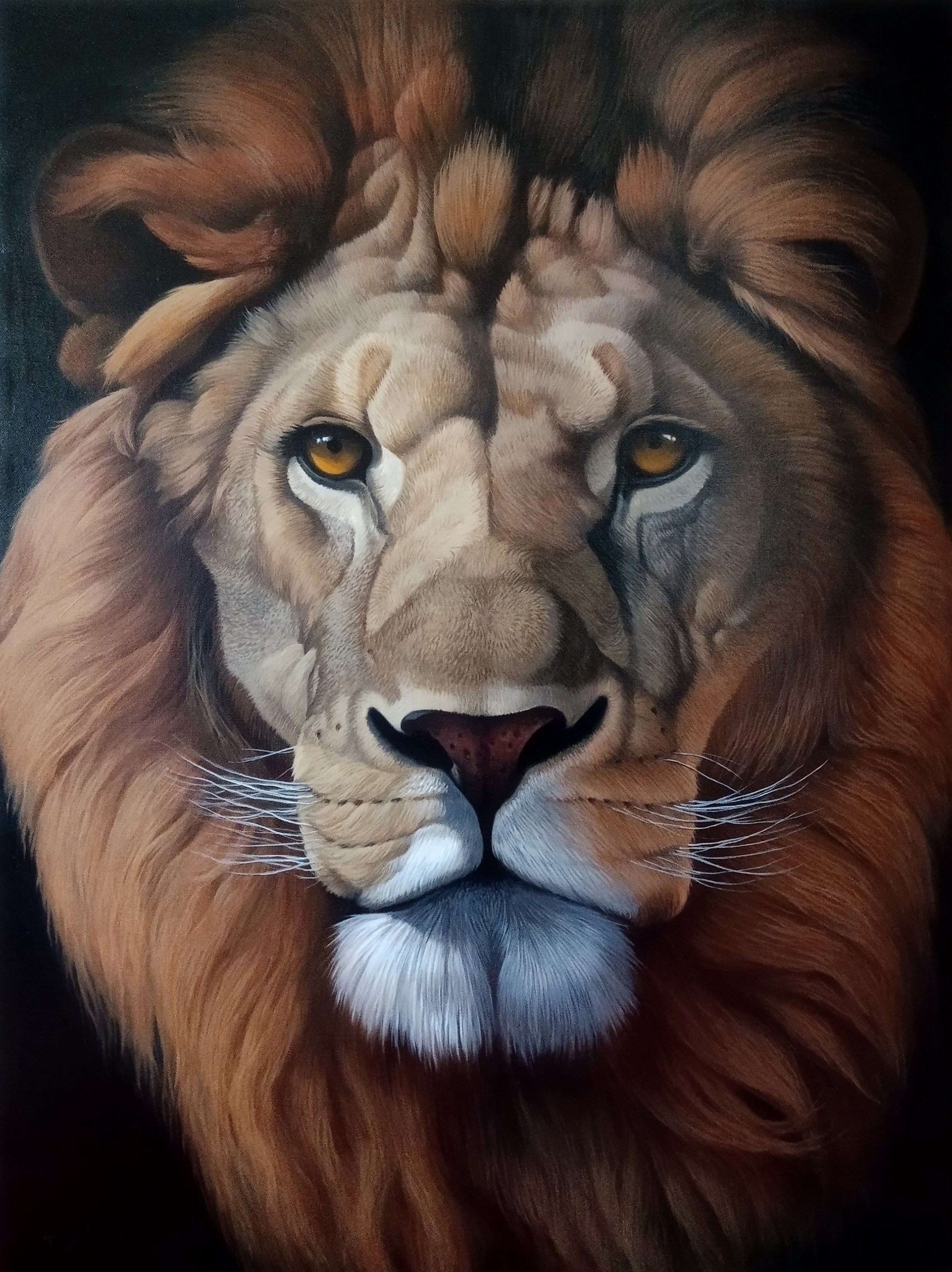 Tamar Nazaryan, Lion portrait Tamar Nazaryan, Lion portrait