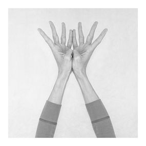 Fotografien, Untitled XVIII. From the series Chiromorphose., Nico Baixas / Gos-com-fuig