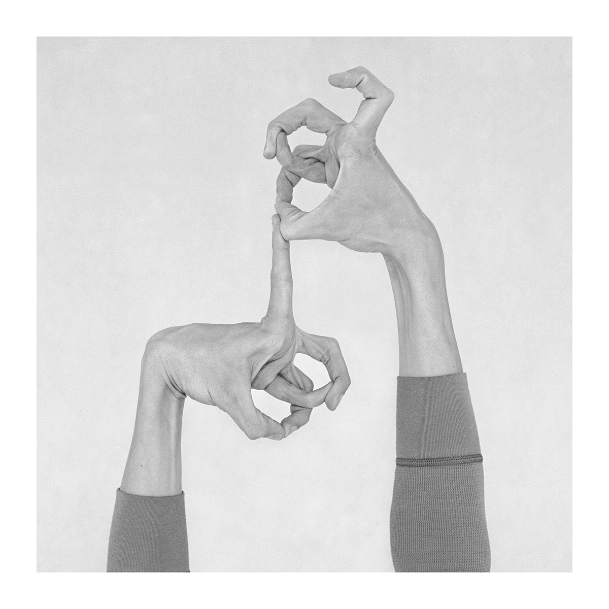 Nico Baixas / Gos-com-fuig, Untitled XIX. From the Series Chiromorphose Nico Baixas / Gos-com-fuig, Untitled XIX. From the Series Chiromorphose