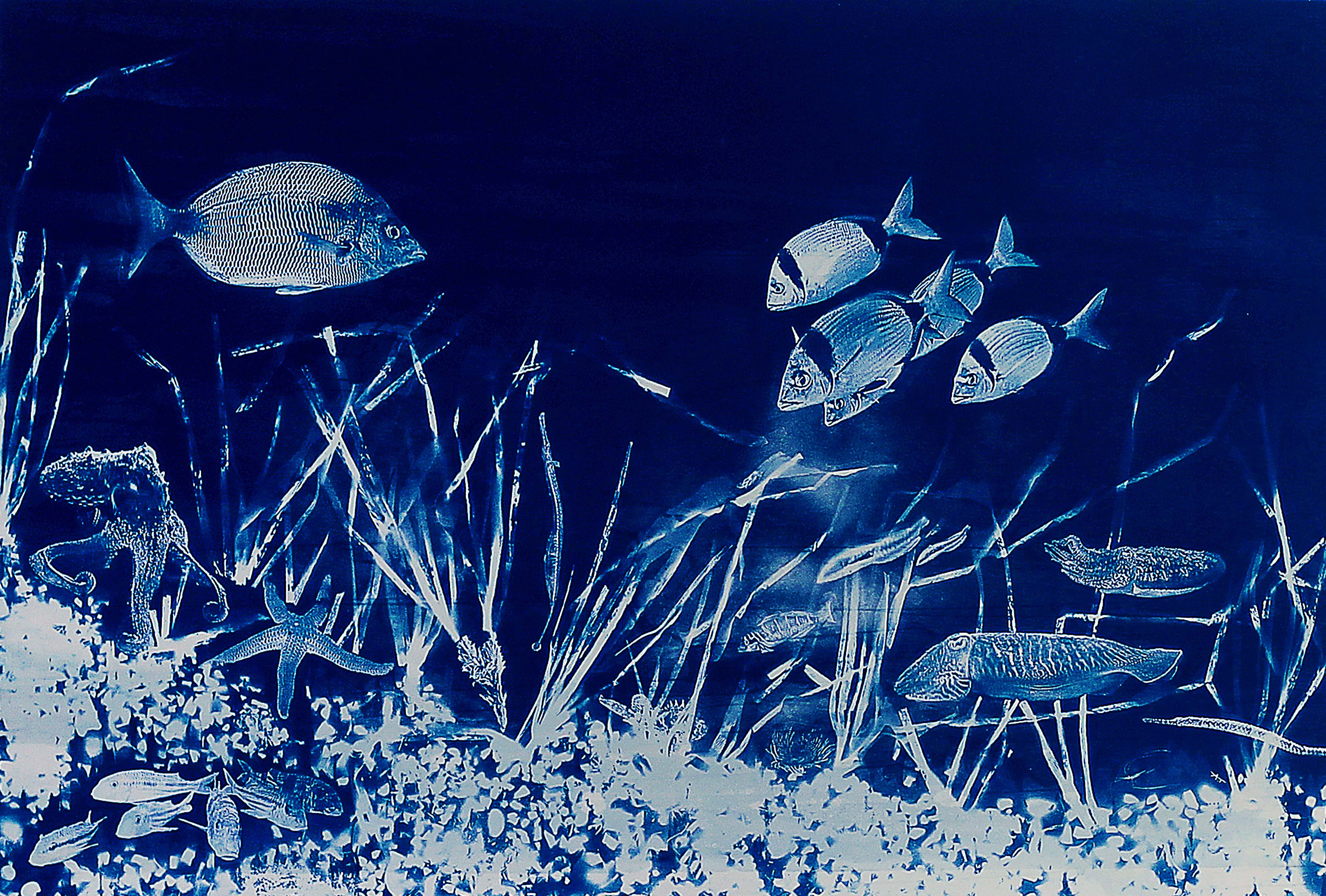 Aurélie Trabaud, Cyanotypie Herbier sous marin N°1 Aurélie Trabaud, Cyanotypie Herbier sous marin N°1
