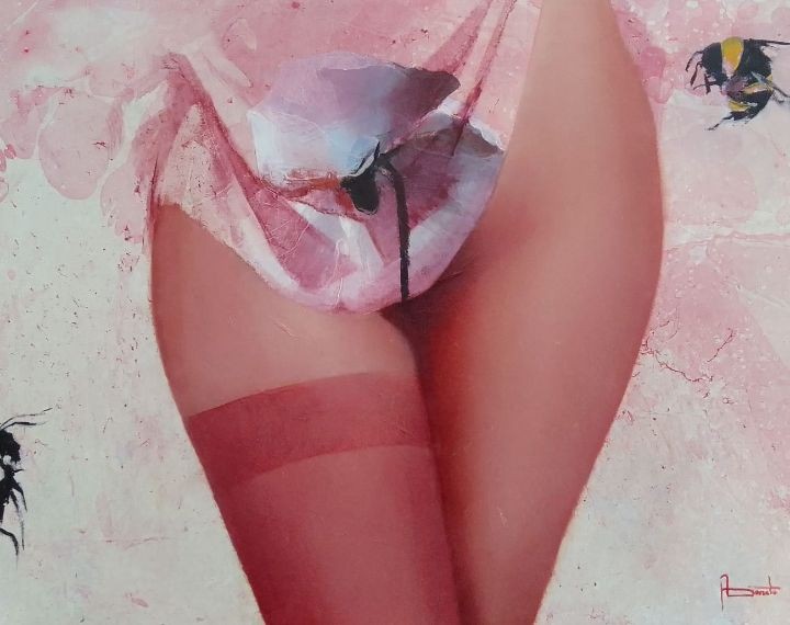 Adda Donato, Amapola Adda Donato, Amapola