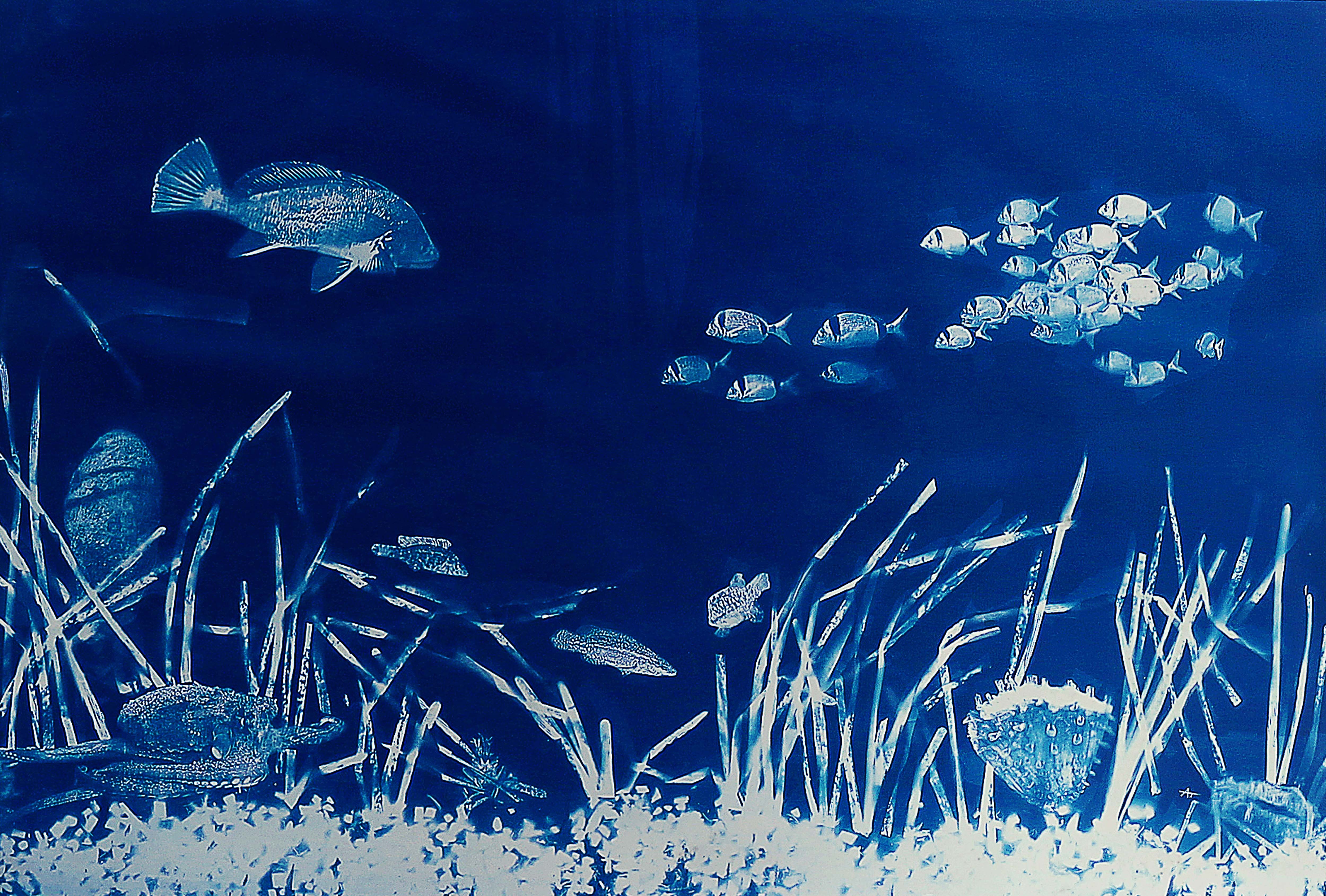 Aurélie Trabaud, Cyanotypie herbier sous marin N°2 Aurélie Trabaud, Cyanotypie herbier sous marin N°2