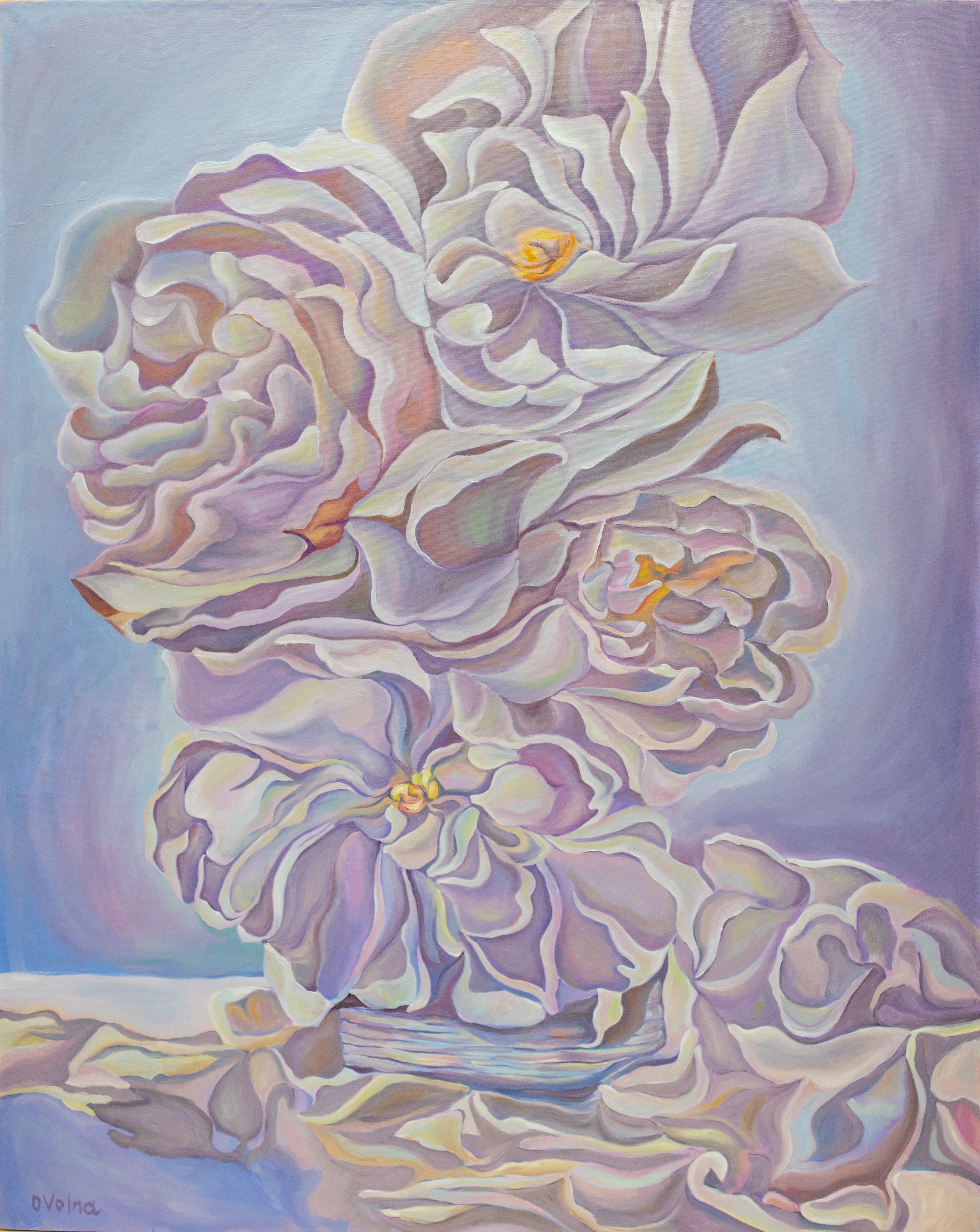 Olga Volna, White orchids Olga Volna, White orchids