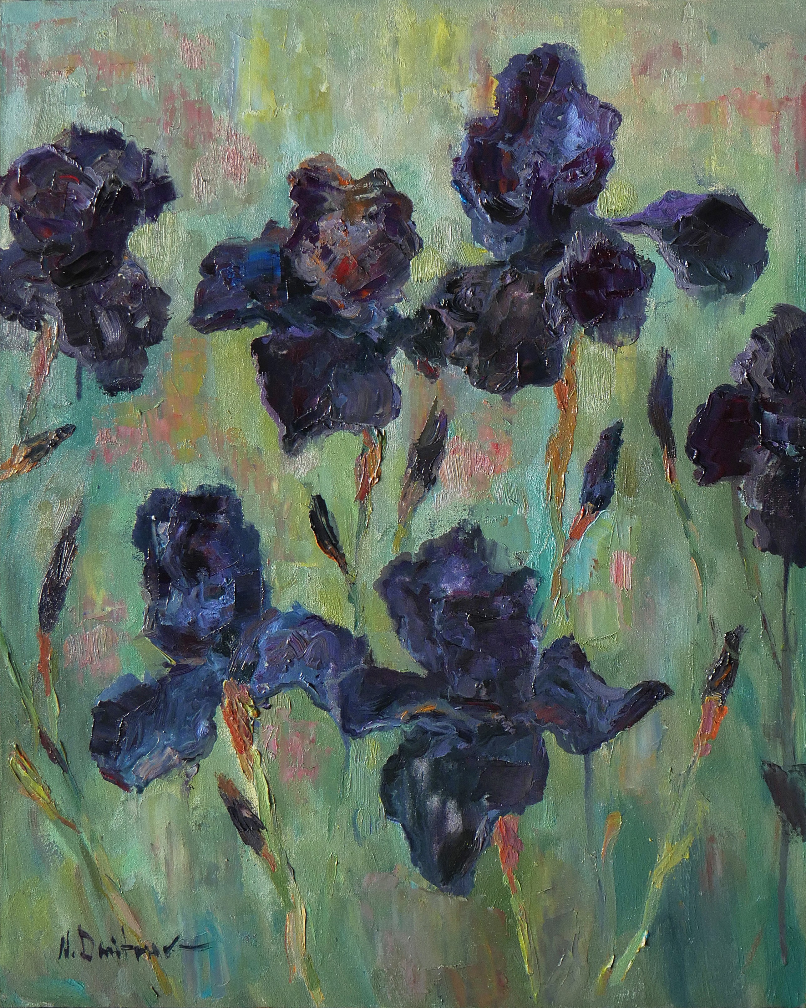 Nikolay Dmitriev, Irises black dragon - stylish iris painting Nikolay Dmitriev, Irises black dragon - stylish iris painting