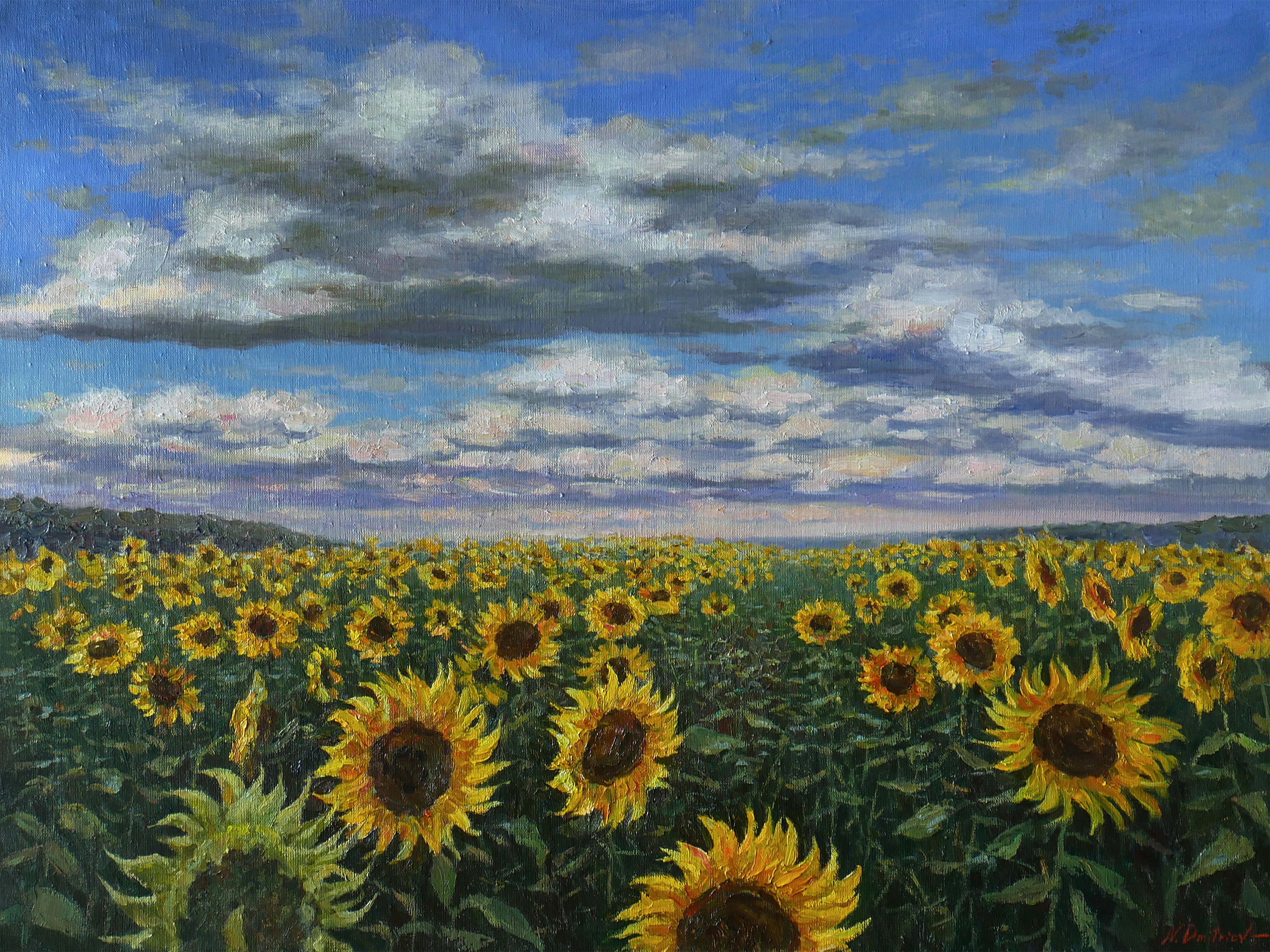 Nikolay Dmitriev, Sunflower field - original landscape painting Nikolay Dmitriev, Sunflower field - original landscape painting