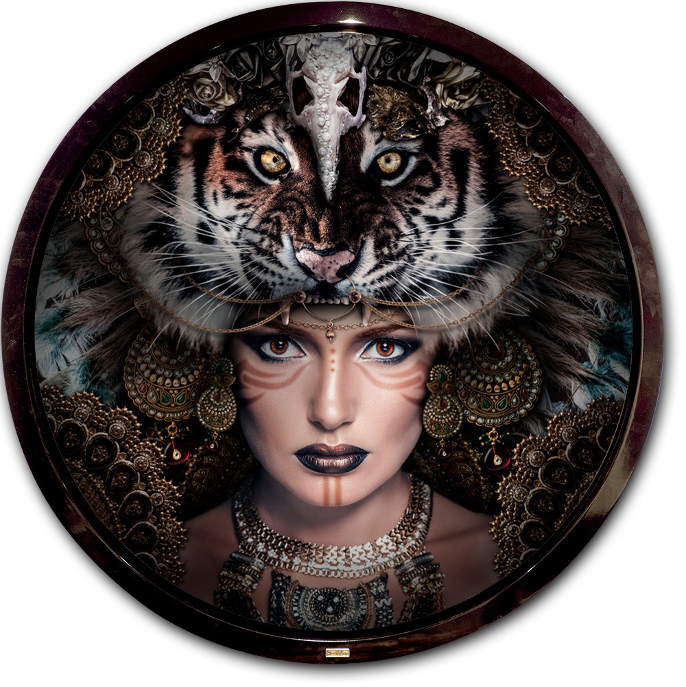 Roy van der Laars, Tiger Queen Roy van der Laars, Tiger Queen