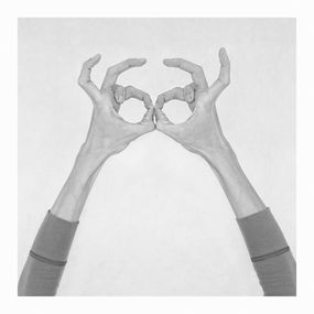 Photographie, Untitled XX. From the Series Chiromorphose, Nico Baixas / Gos-com-fuig