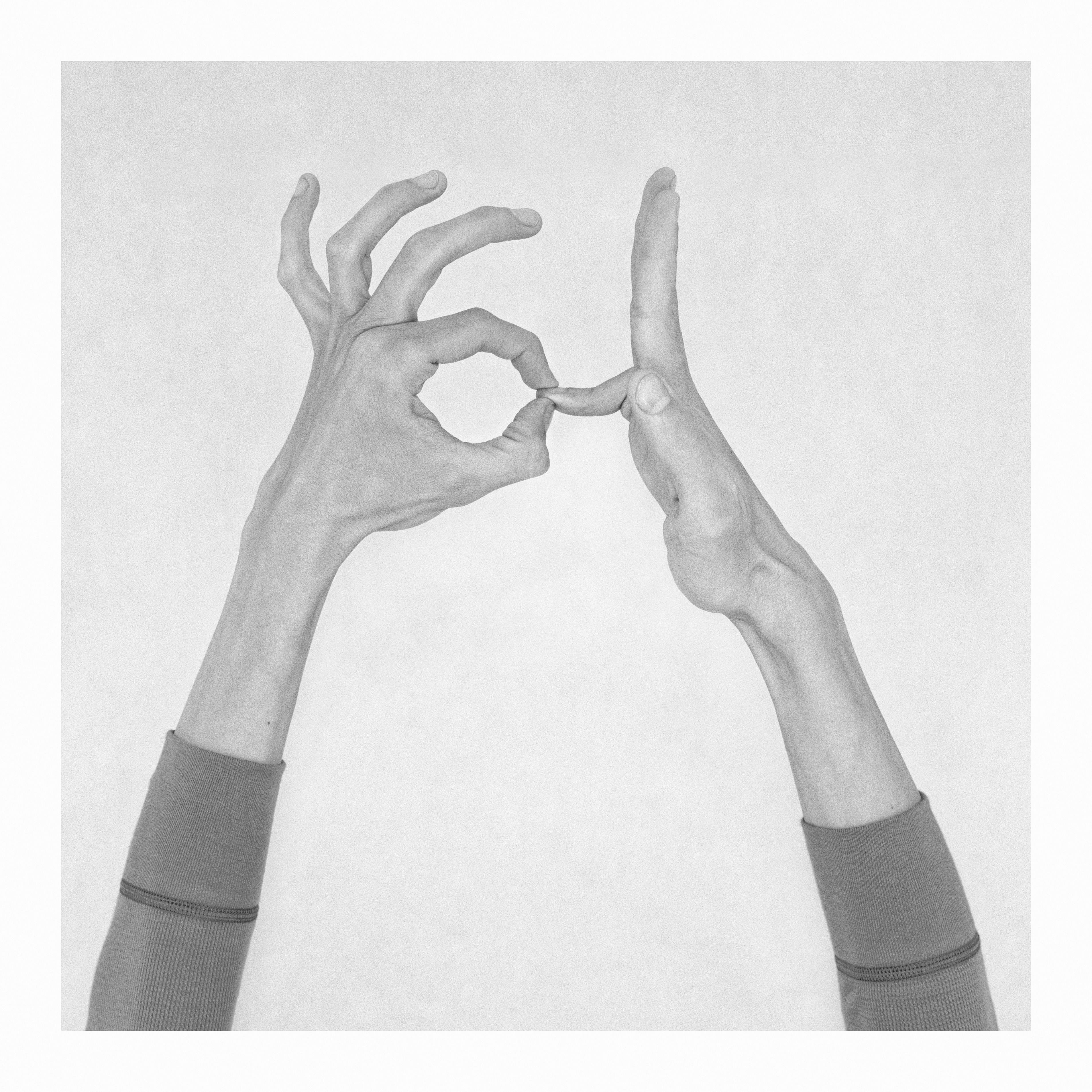 Nico Baixas / Gos-com-fuig, Untitled XXI. From the Series Chiromorphose Nico Baixas / Gos-com-fuig, Untitled XXI. From the Series Chiromorphose