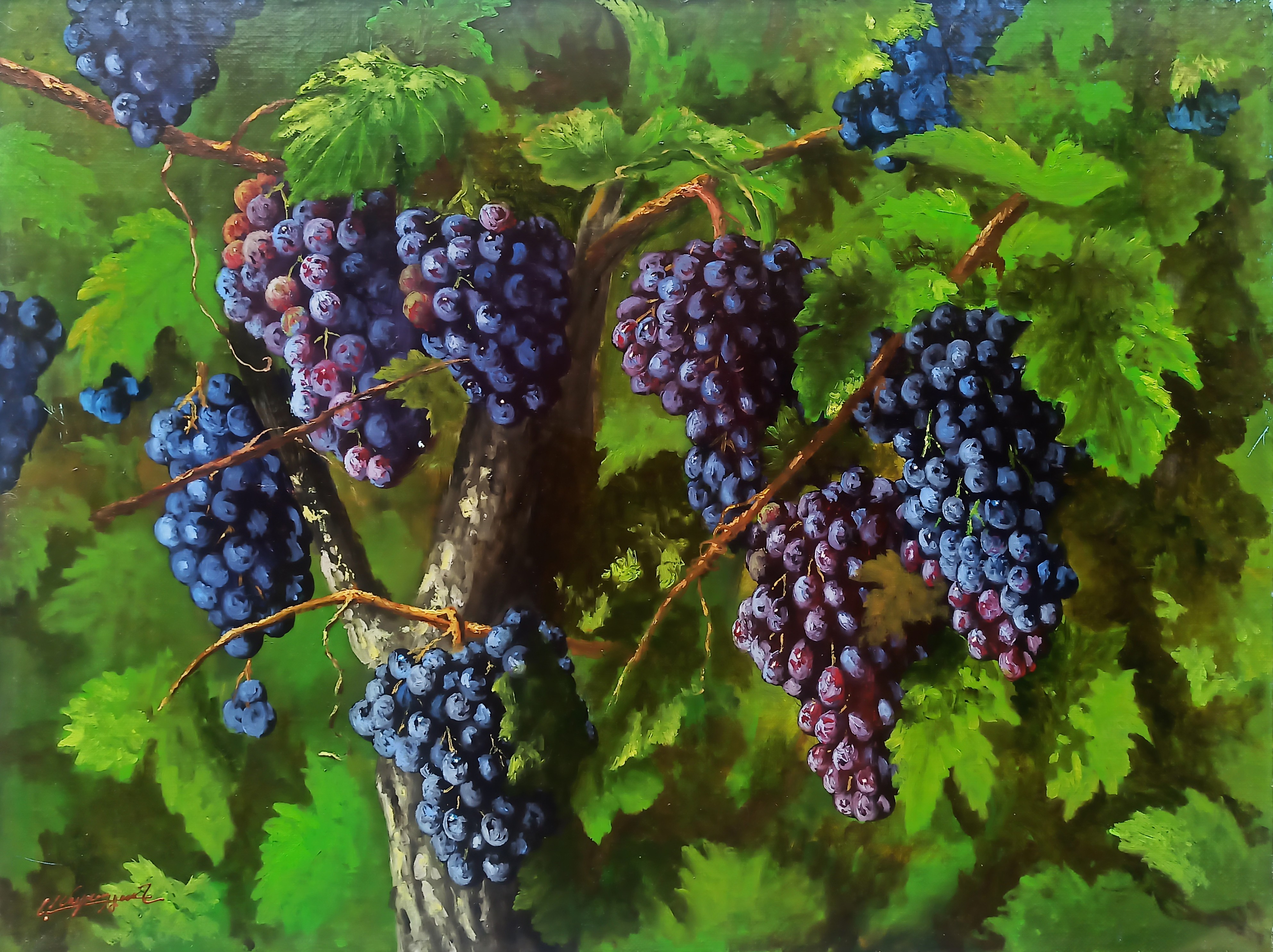 Arayik Murdaynan, Vineyard Arayik Murdaynan, Vineyard