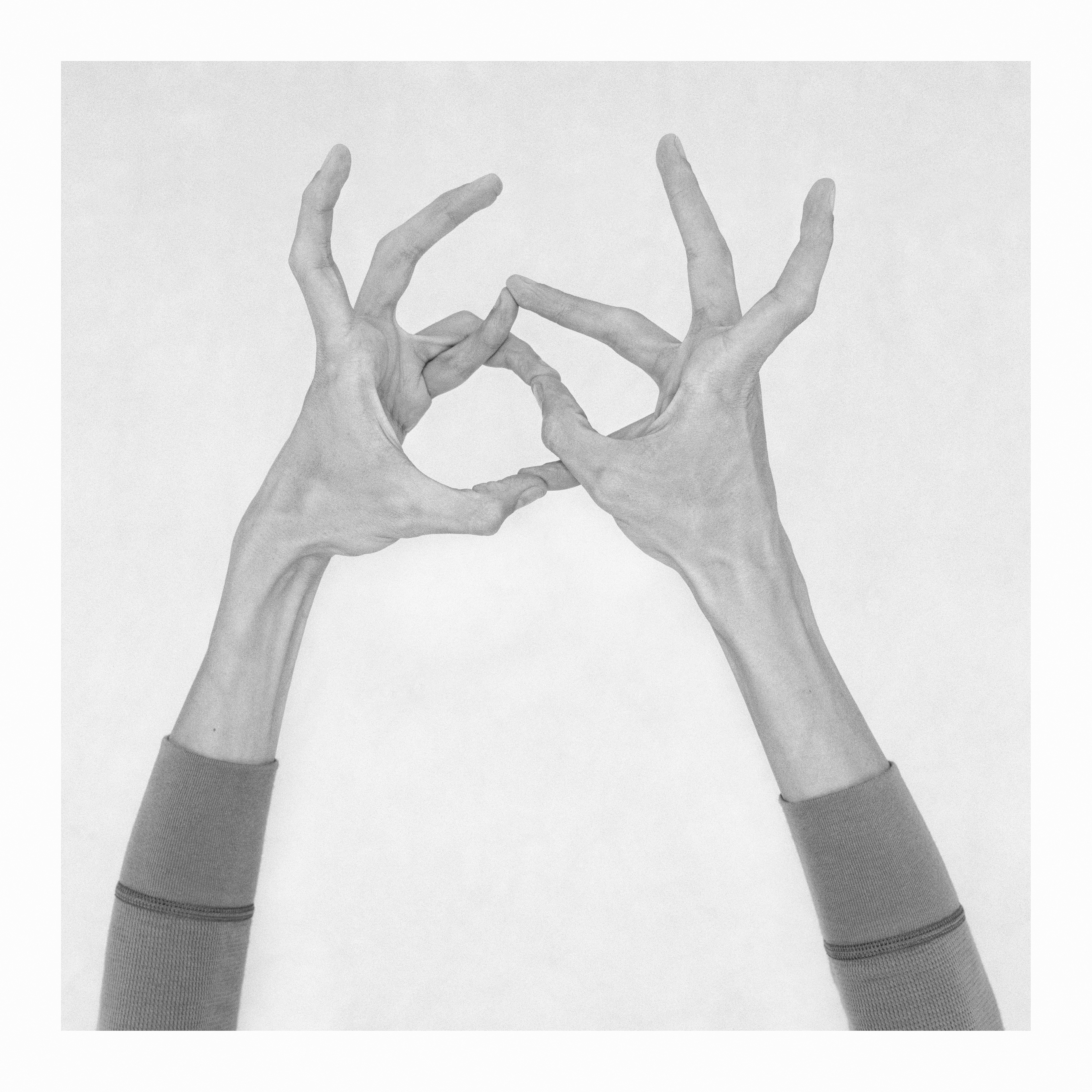 Nico Baixas / Gos-com-fuig, Untitled XXIII. From the Series Chiromorphose Nico Baixas / Gos-com-fuig, Untitled XXIII. From the Series Chiromorphose