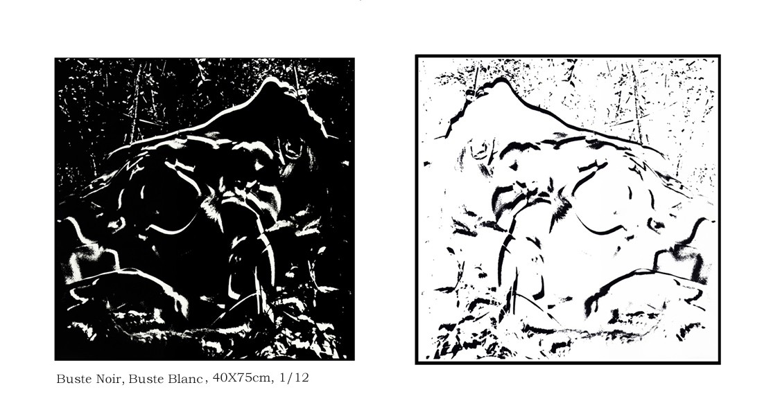 Pascal Therme, Vénus buste Noir, buste Blanc Pascal Therme, Vénus buste Noir, buste Blanc