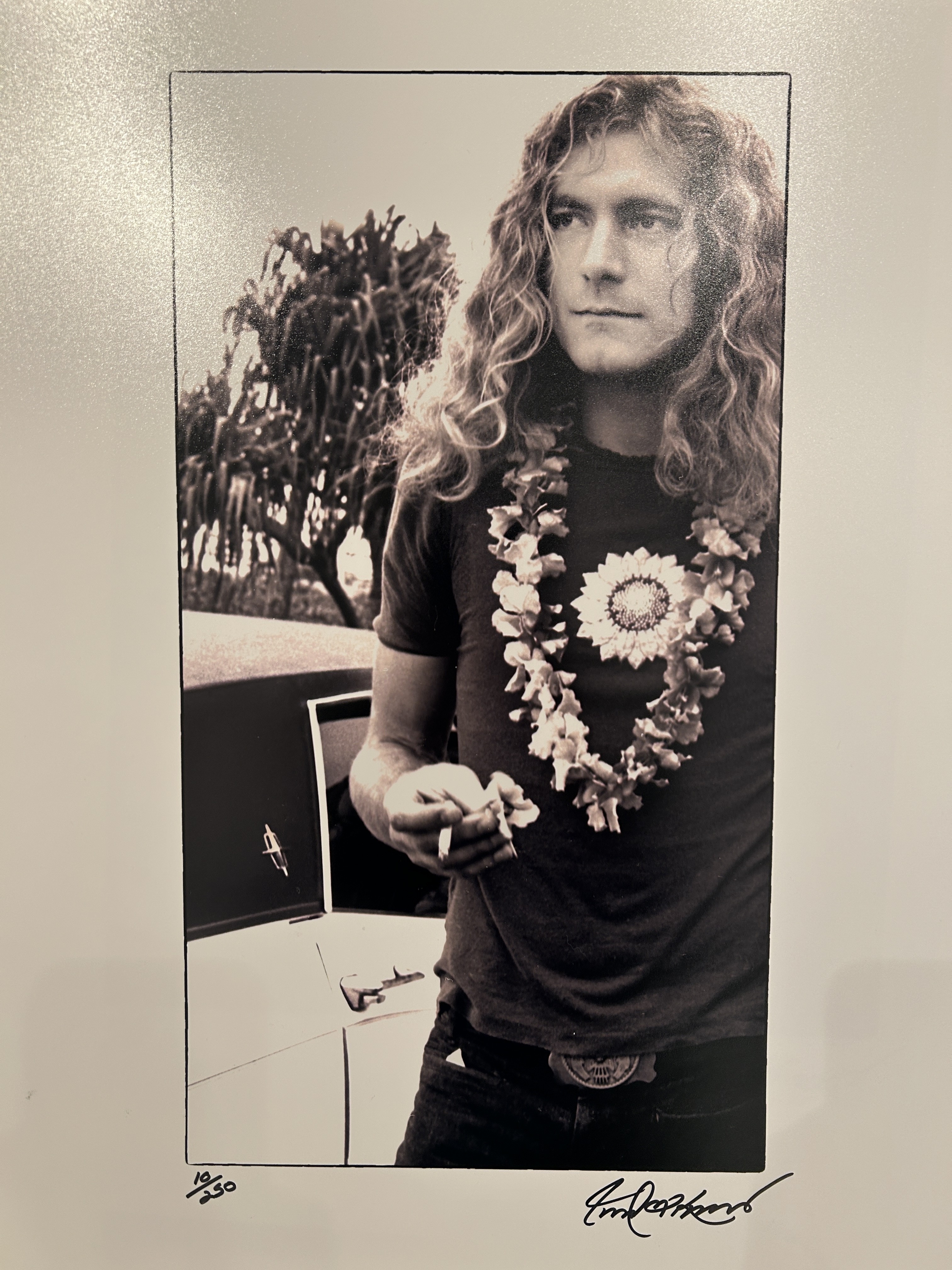 Robert Knight, Robert Plant Hawaii Robert Knight, Robert Plant Hawaii
