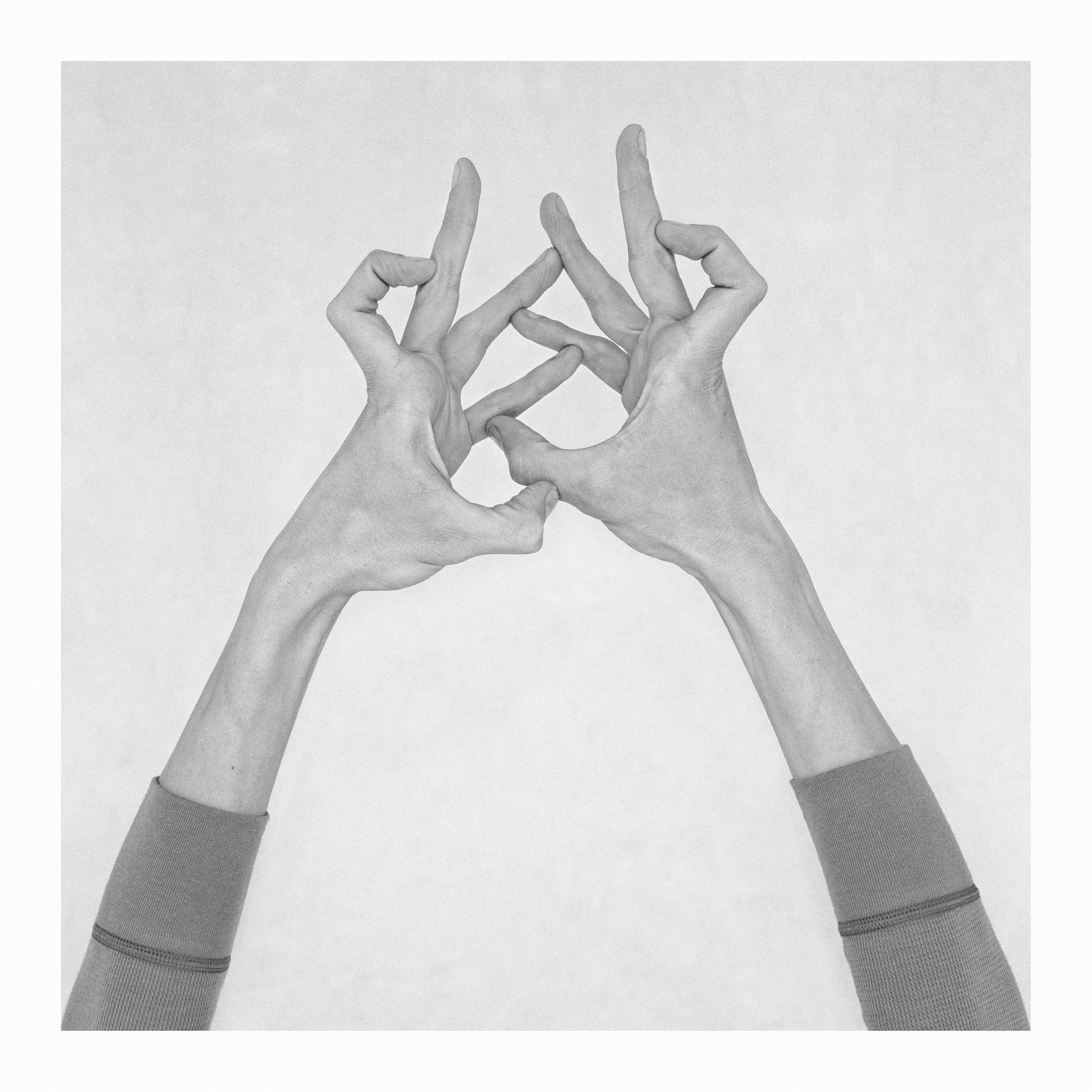 Nico Baixas / Gos-com-fuig, Untitled XXIV. From the Series Chiromorphose Nico Baixas / Gos-com-fuig, Untitled XXIV. From the Series Chiromorphose