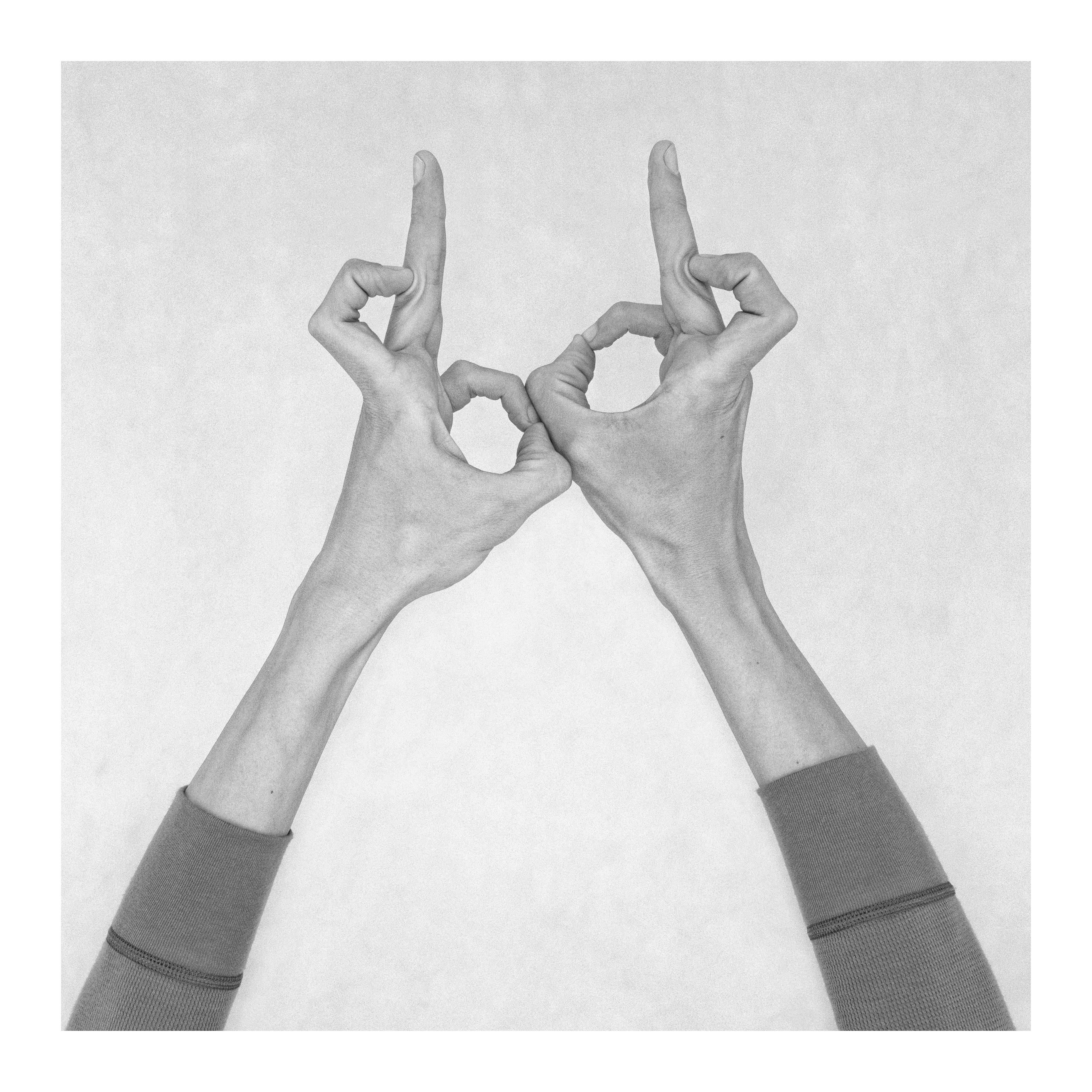 Nico Baixas / Gos-com-fuig, Untitled XXV. From the Series Chiromorphose Nico Baixas / Gos-com-fuig, Untitled XXV. From the Series Chiromorphose