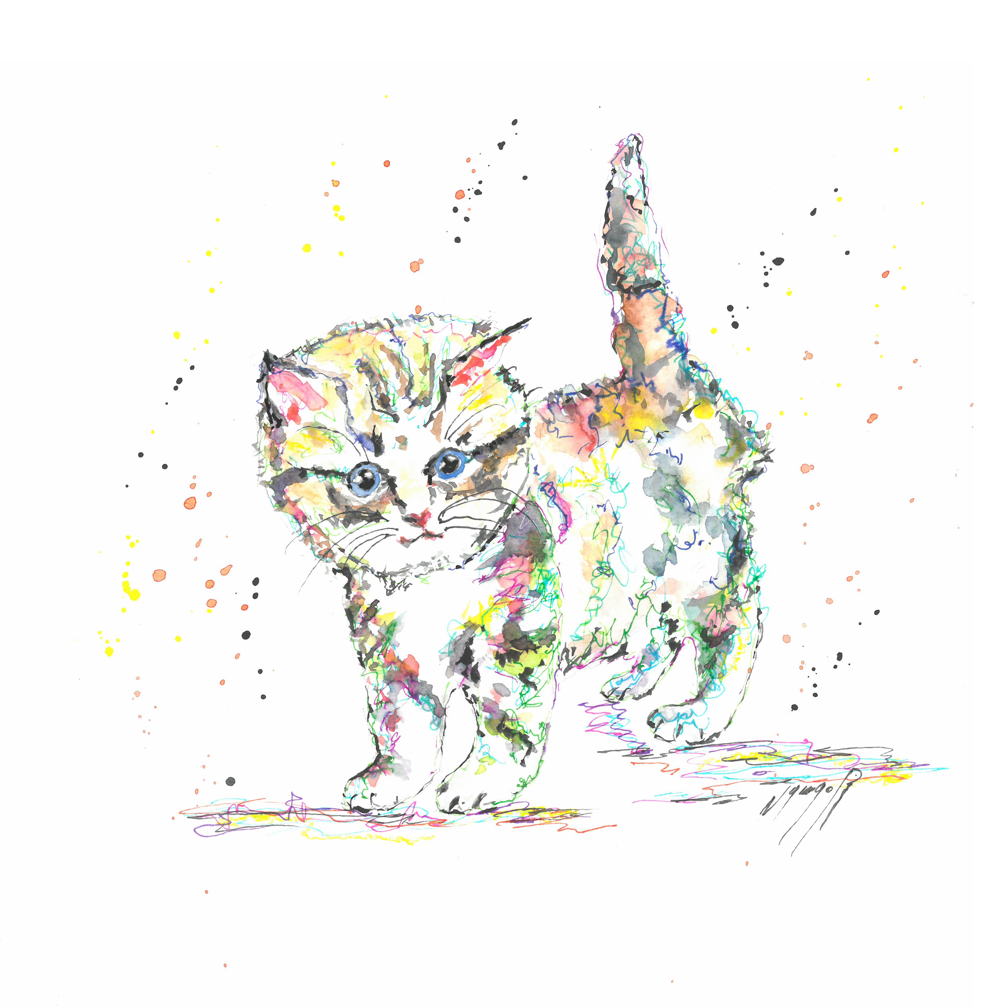 Noël Granger, Notre chaton ! Noël Granger, Notre chaton !