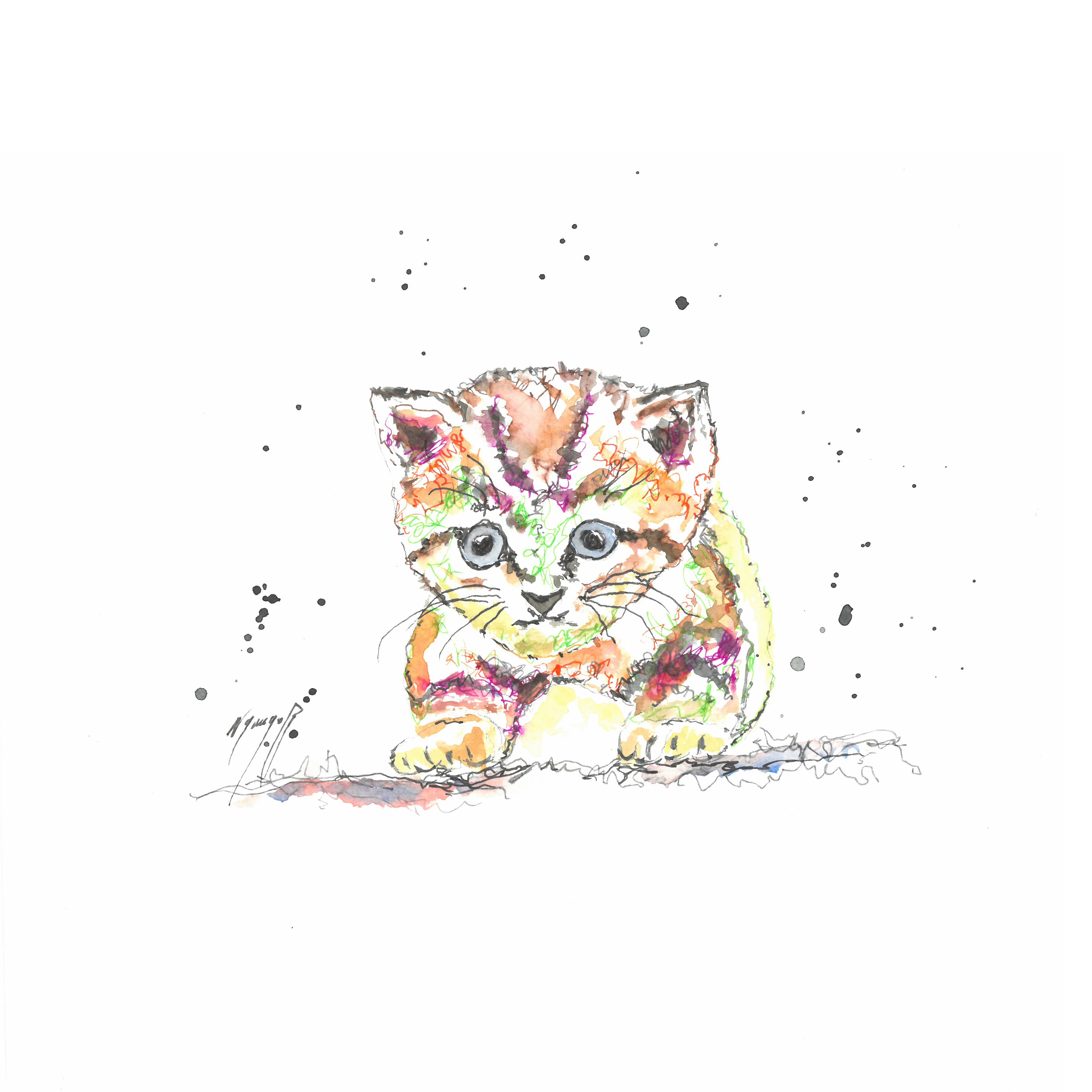 Noël Granger, Portrait de notre chaton ! Noël Granger, Portrait de notre chaton !