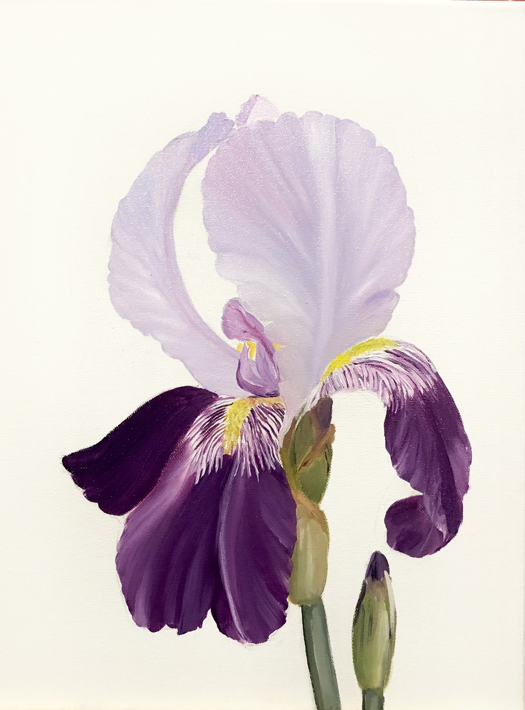 Nataliia Krykun, From the Series Iris flowers, Ritter-Schwertlilie Nataliia Krykun, From the Series Iris flowers, Ritter-Schwertlilie