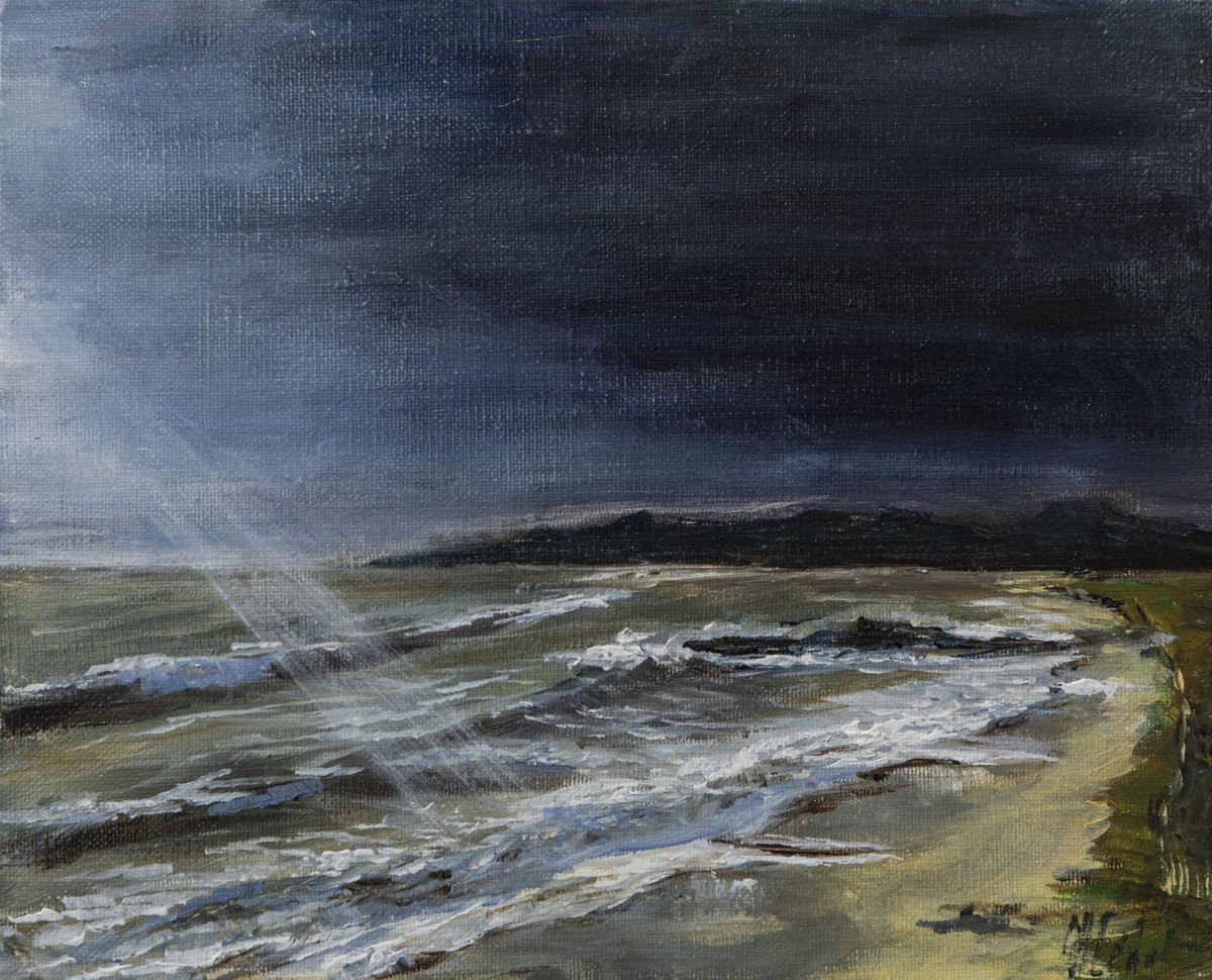 Marie-Joëlle Cédat, Saint-Jacques n°1 - Paysage marin Marie-Joëlle Cédat, Saint-Jacques n°1 - Paysage marin