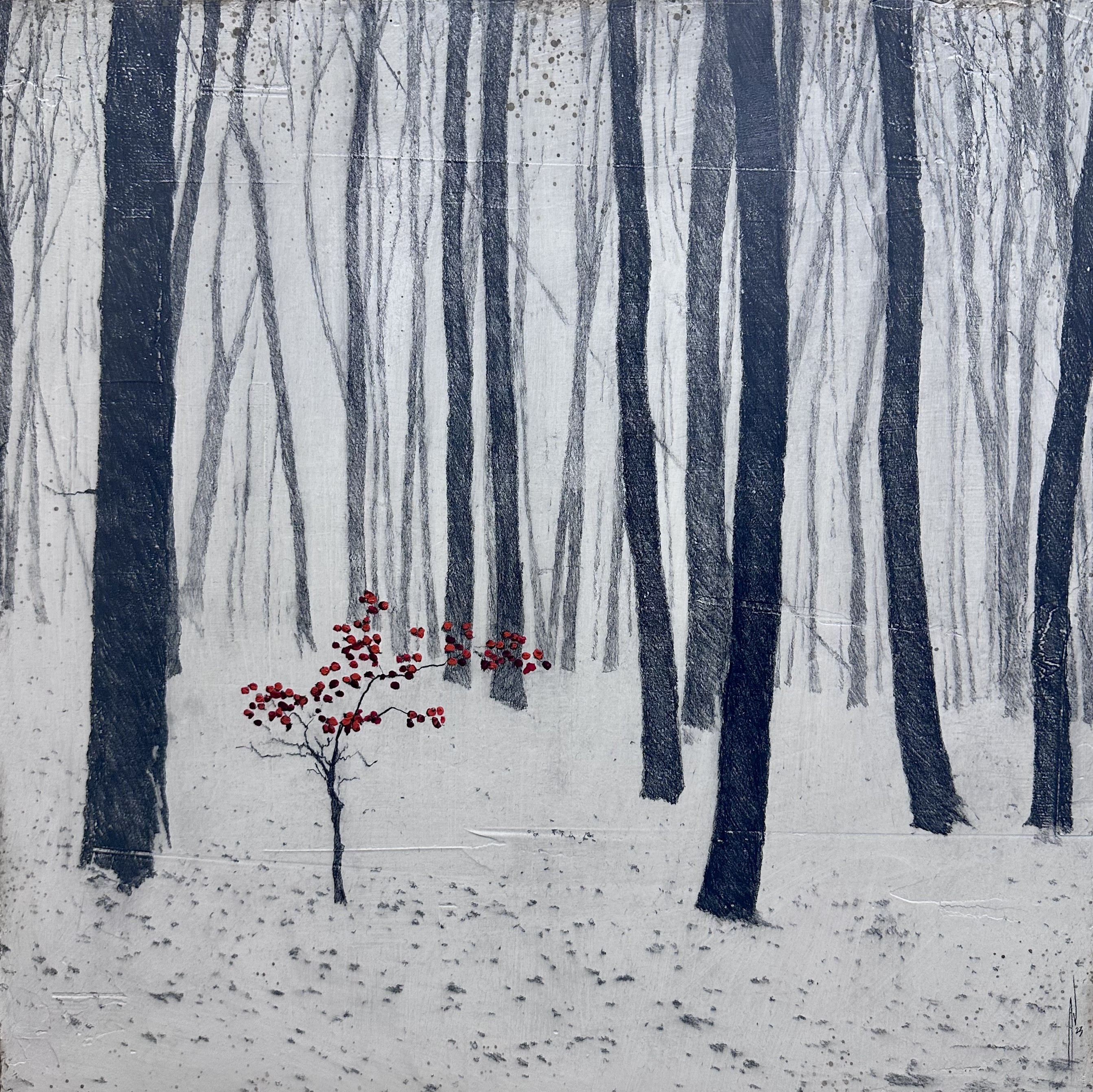 Antoine Josse, Les beaux débuts Antoine Josse, Les beaux débuts