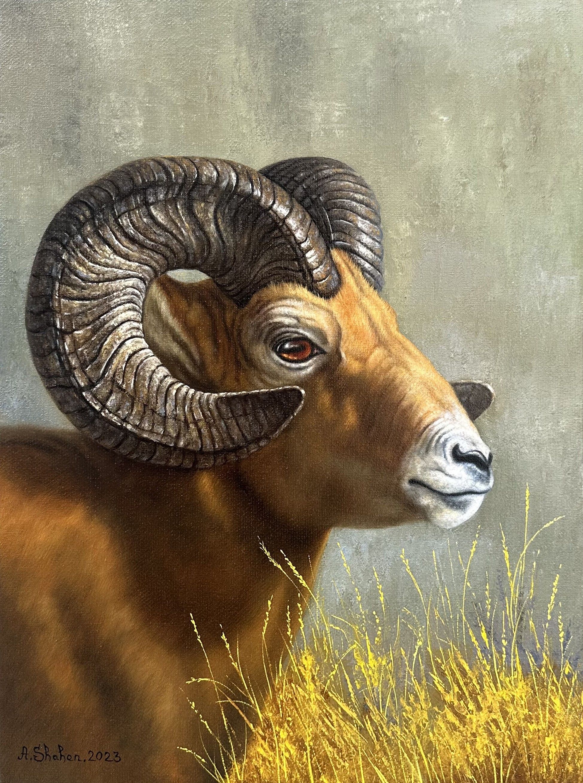 Shahen Aleksandryan, Ram portrait Shahen Aleksandryan, Ram portrait