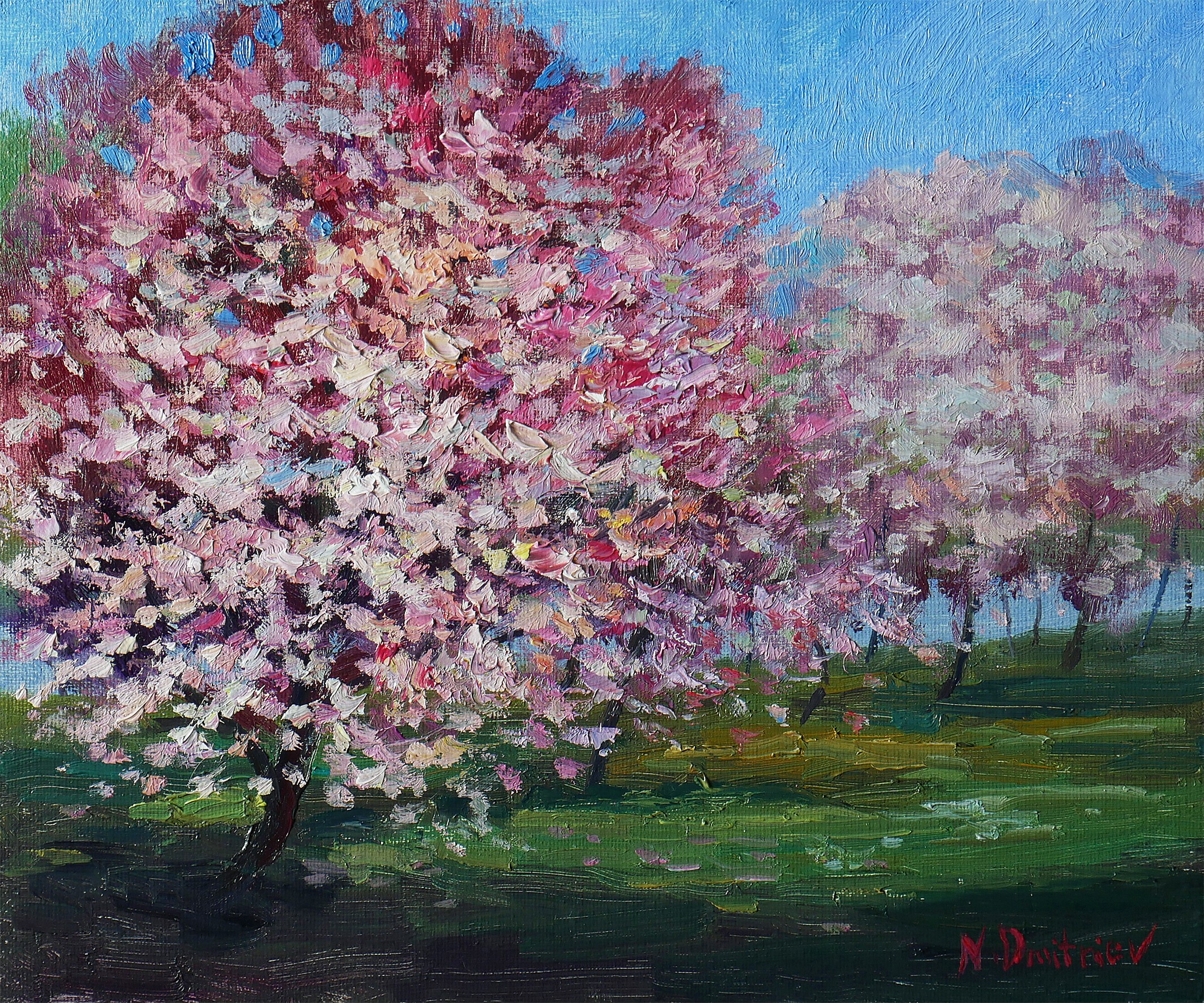 Nikolay Dmitriev, Blooming Cherry - original sunny landscape, painting Nikolay Dmitriev, Blooming Cherry - original sunny landscape, painting