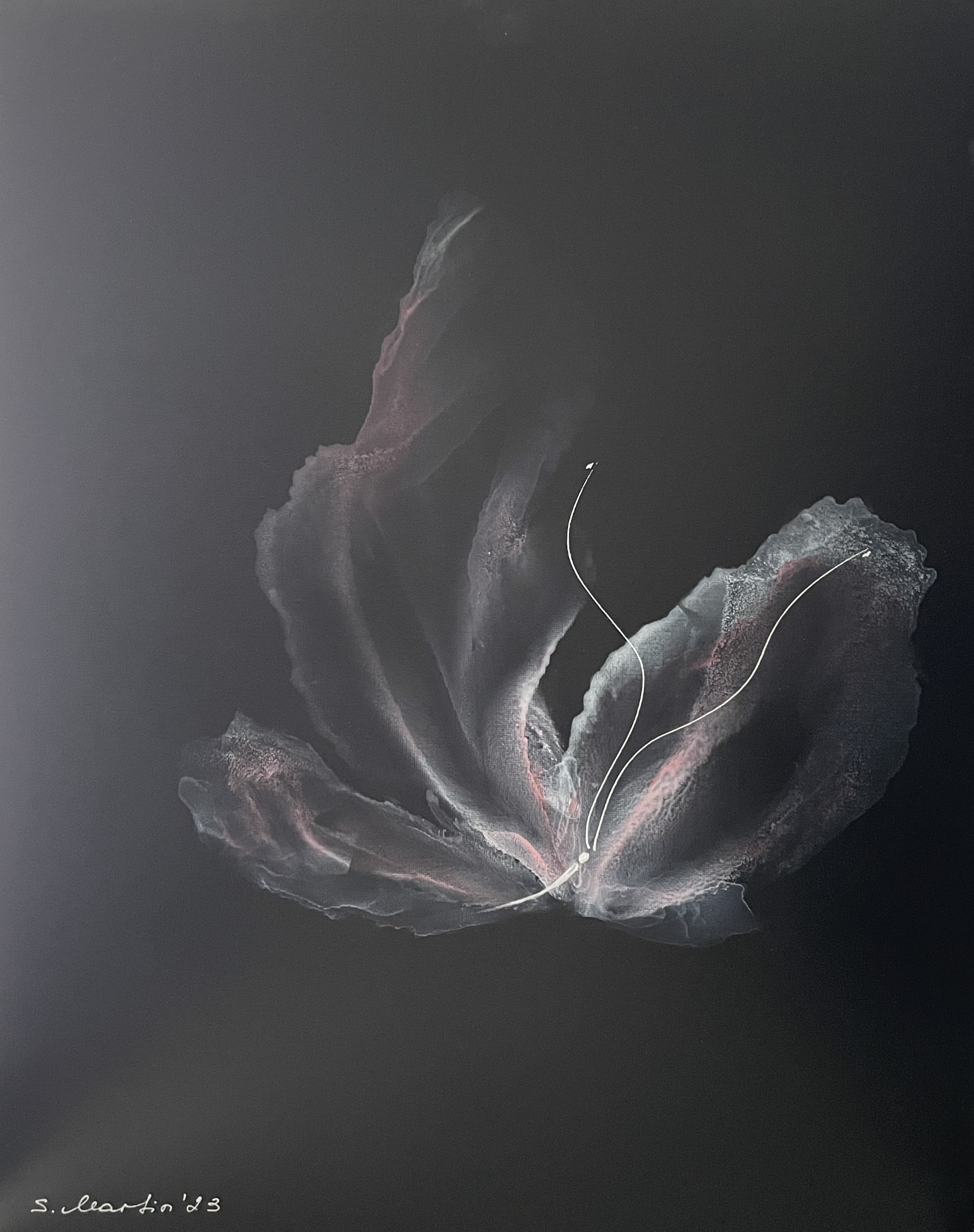 Svetlana Martin, Dance of light and shadow Svetlana Martin, Dance of light and shadow