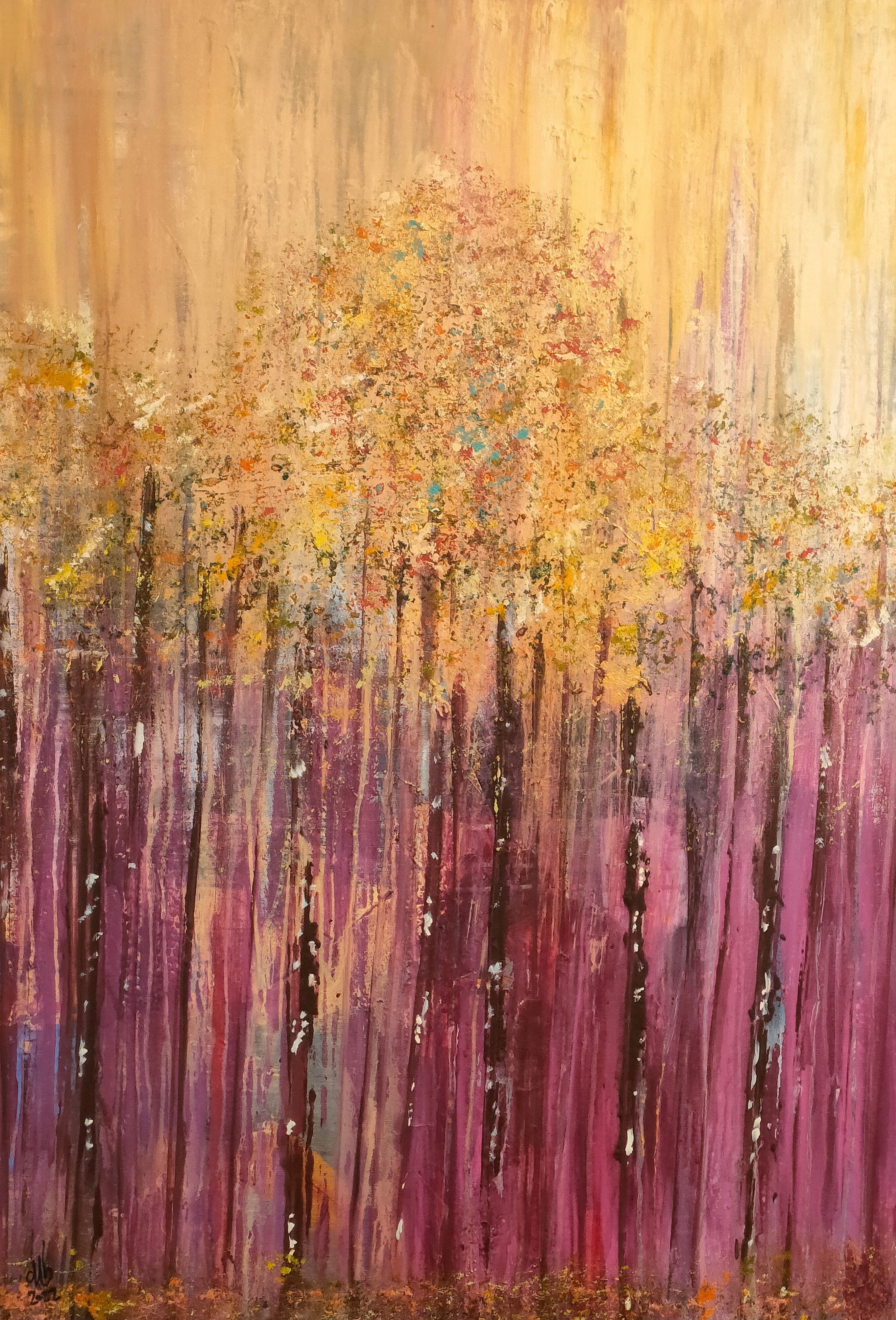 Adel Barnat, Spring Adel Barnat, Spring