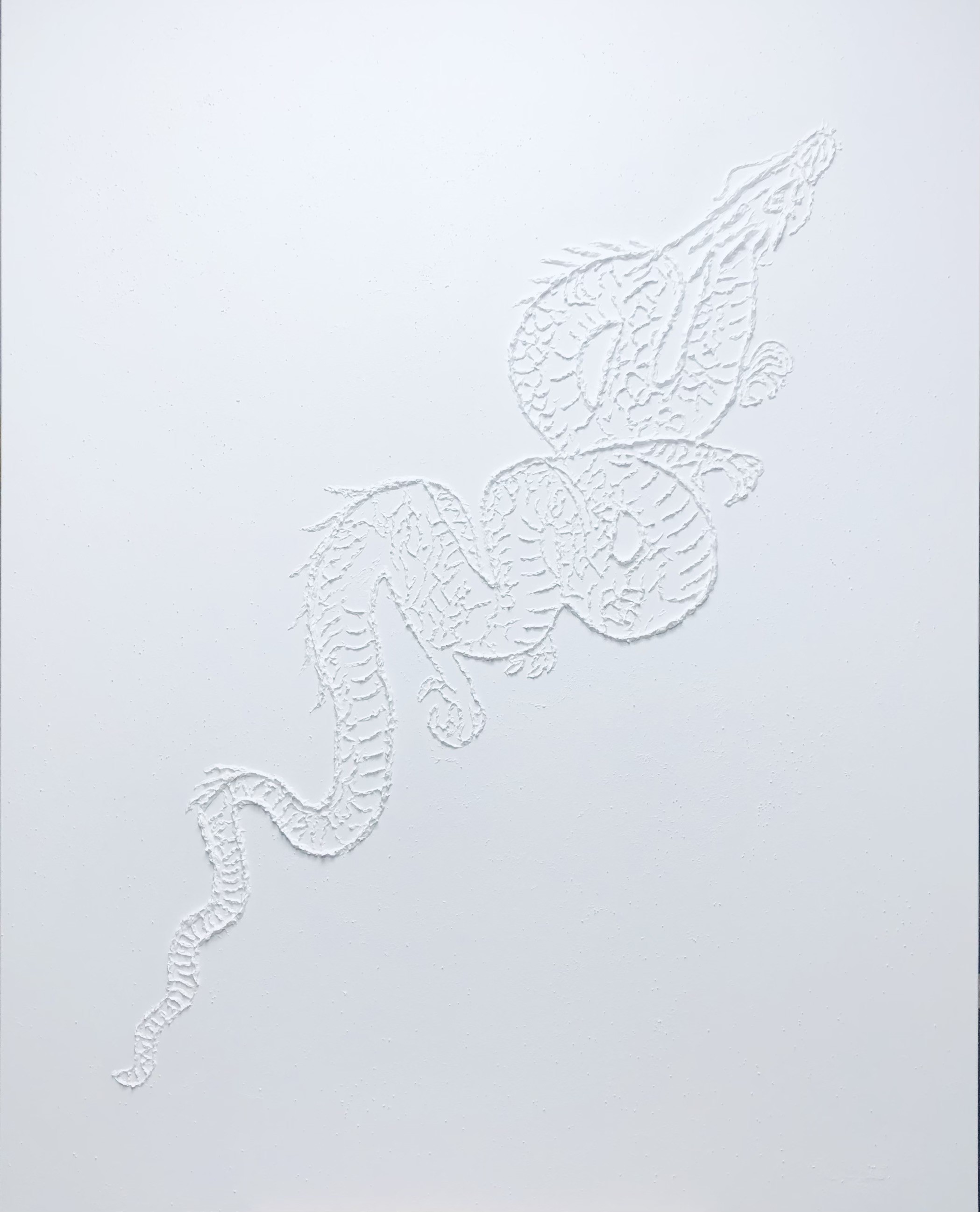 Nataliia Krykun, White dragon 3d - textured plaster, objects Nataliia Krykun, White dragon 3d - textured plaster, objects
