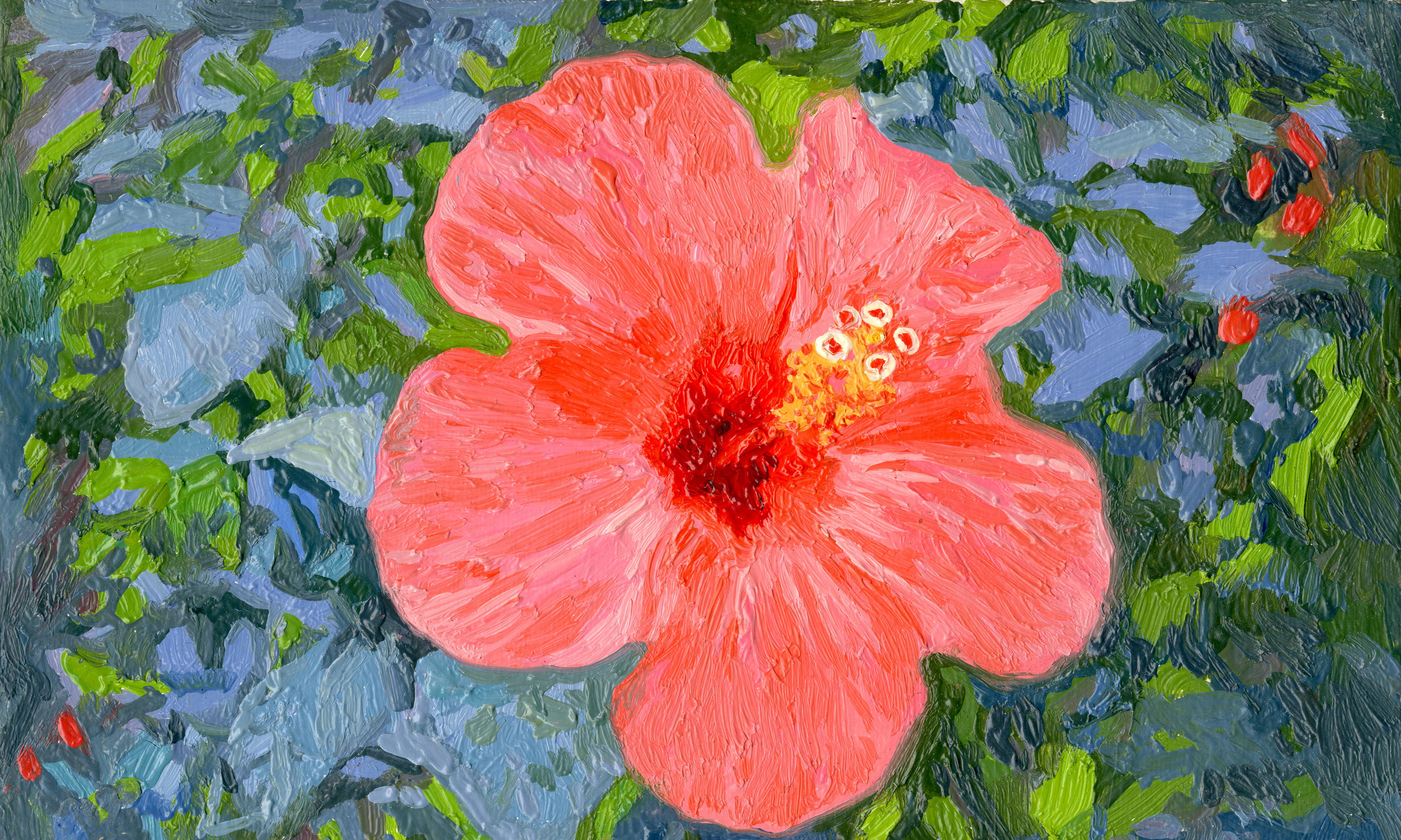 Simon Kozhin, Hibiscus Chinese Simon Kozhin, Hibiscus Chinese